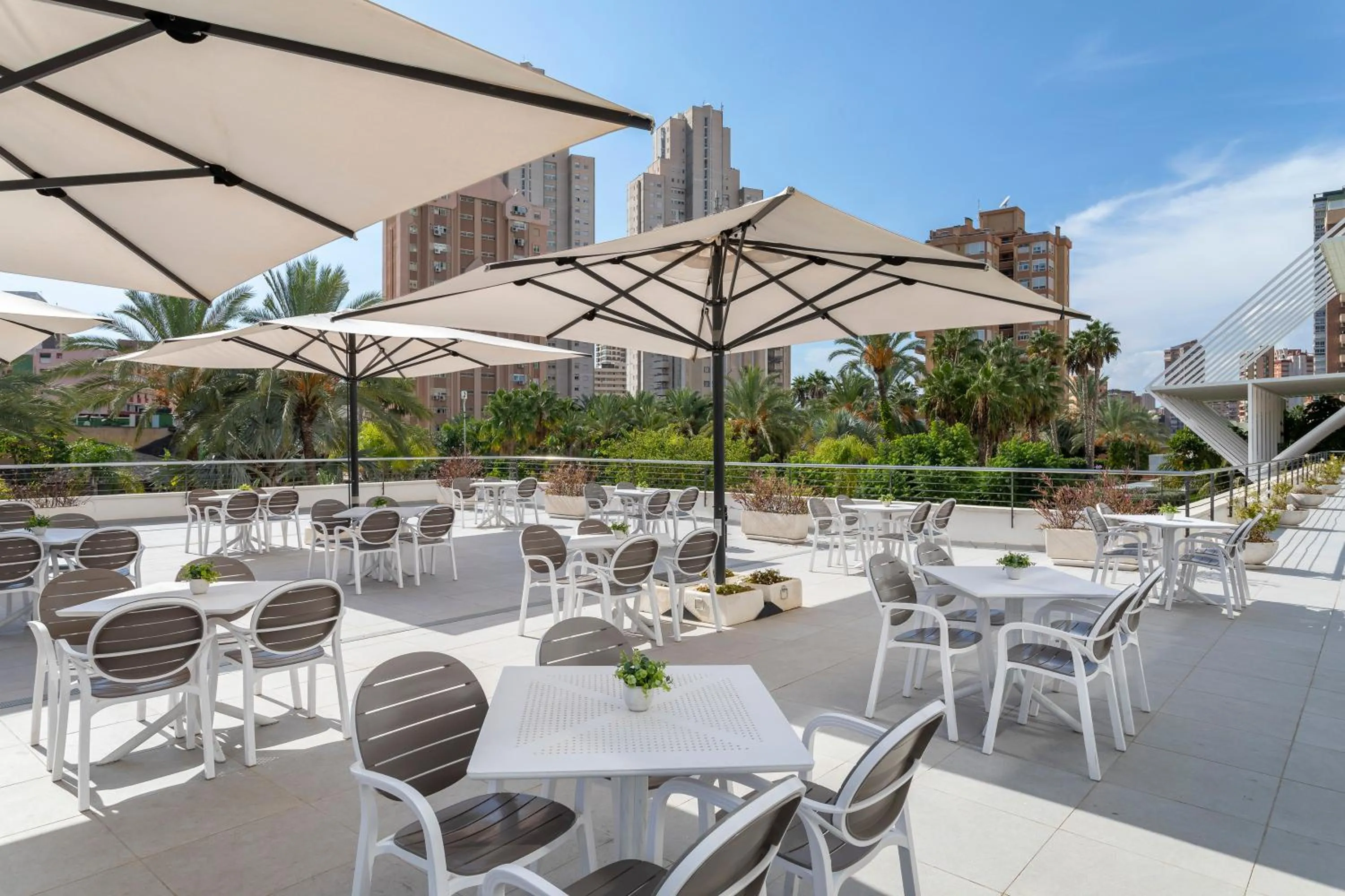 Restaurant/places to eat in Melia Benidorm