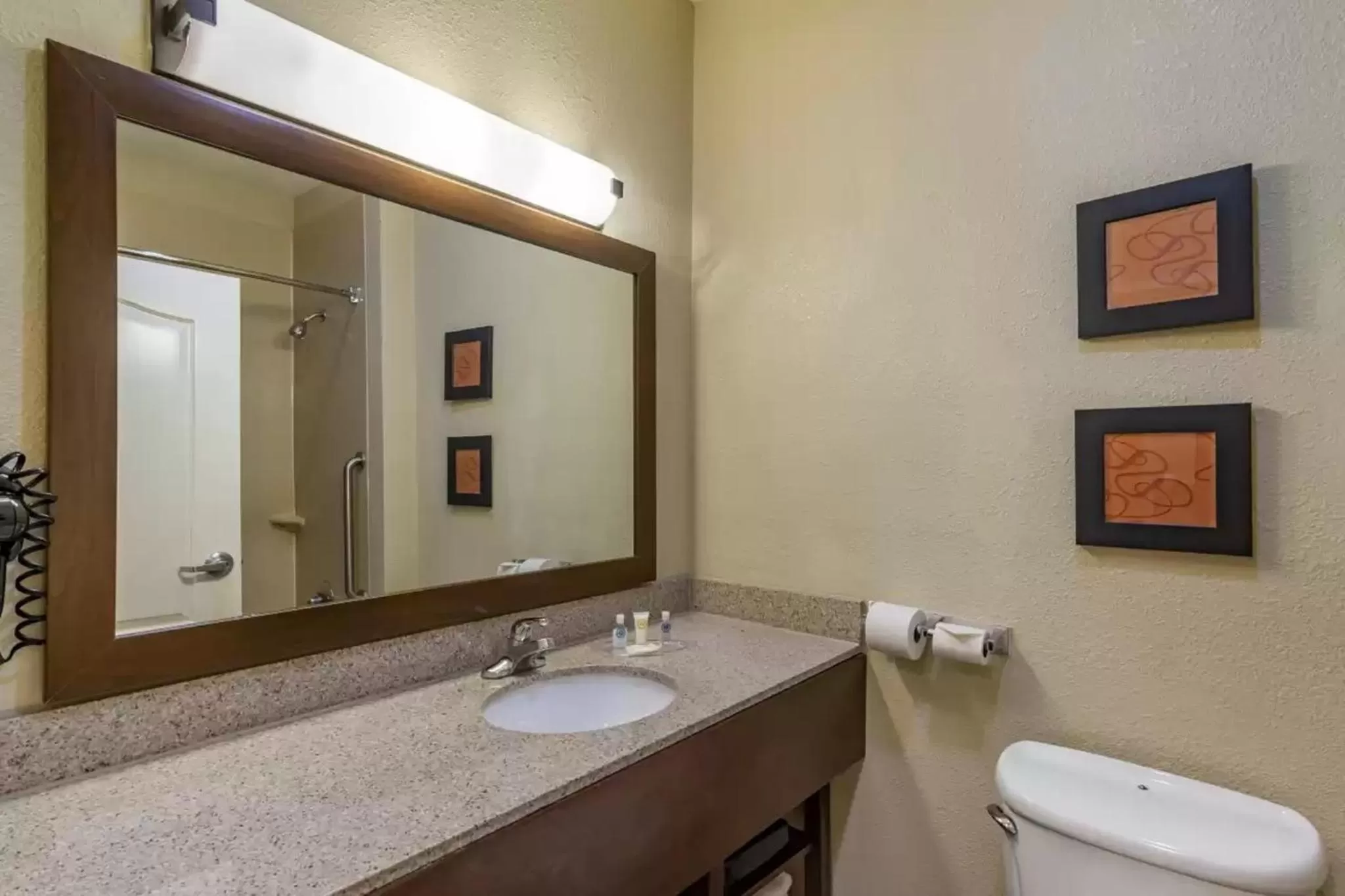 Bathroom in Comfort Suites Montgomery East Monticello Dr