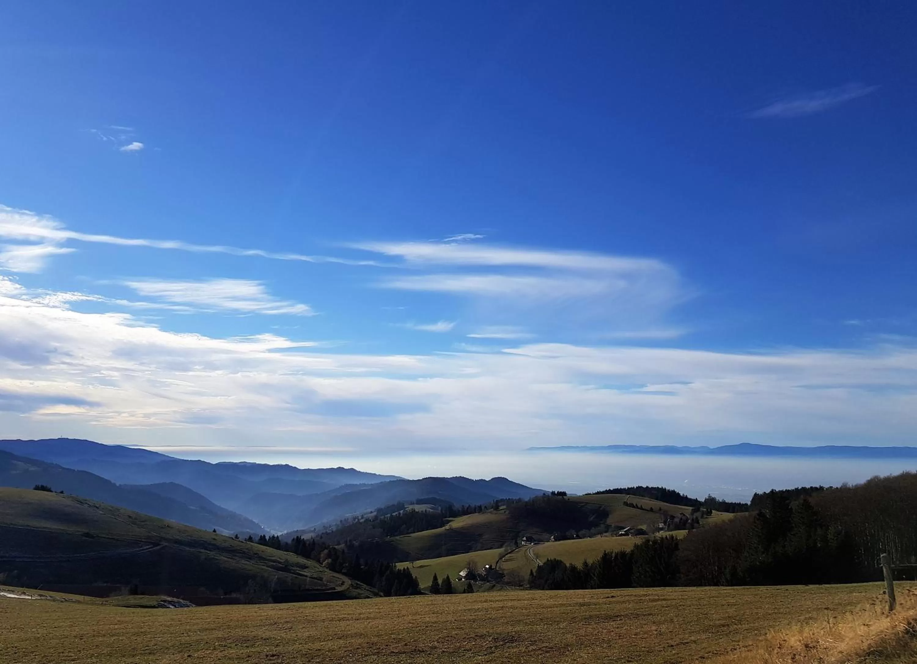 Natural landscape in Apart Hotel Freiburg