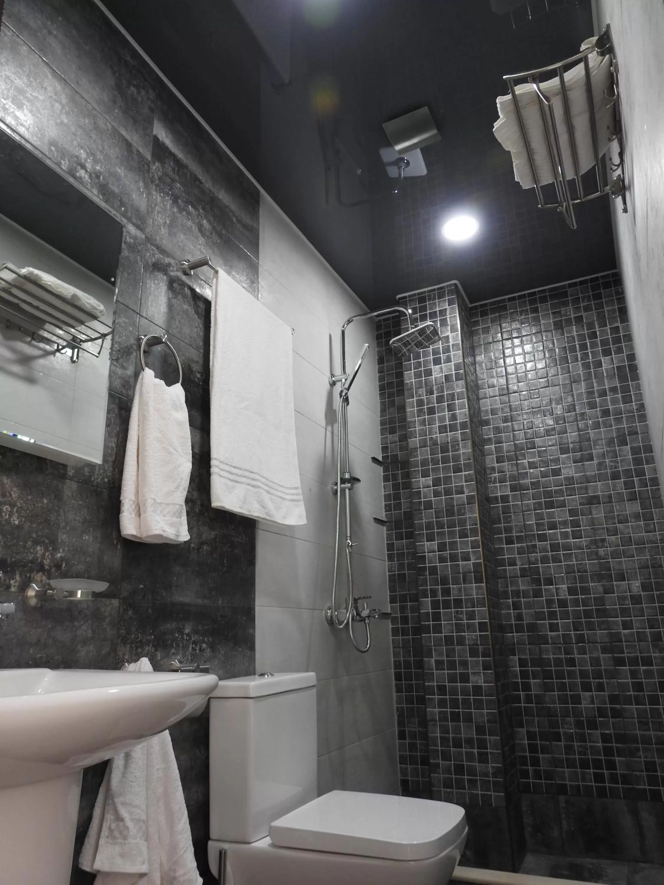 Shower in Iko's Family Apartments