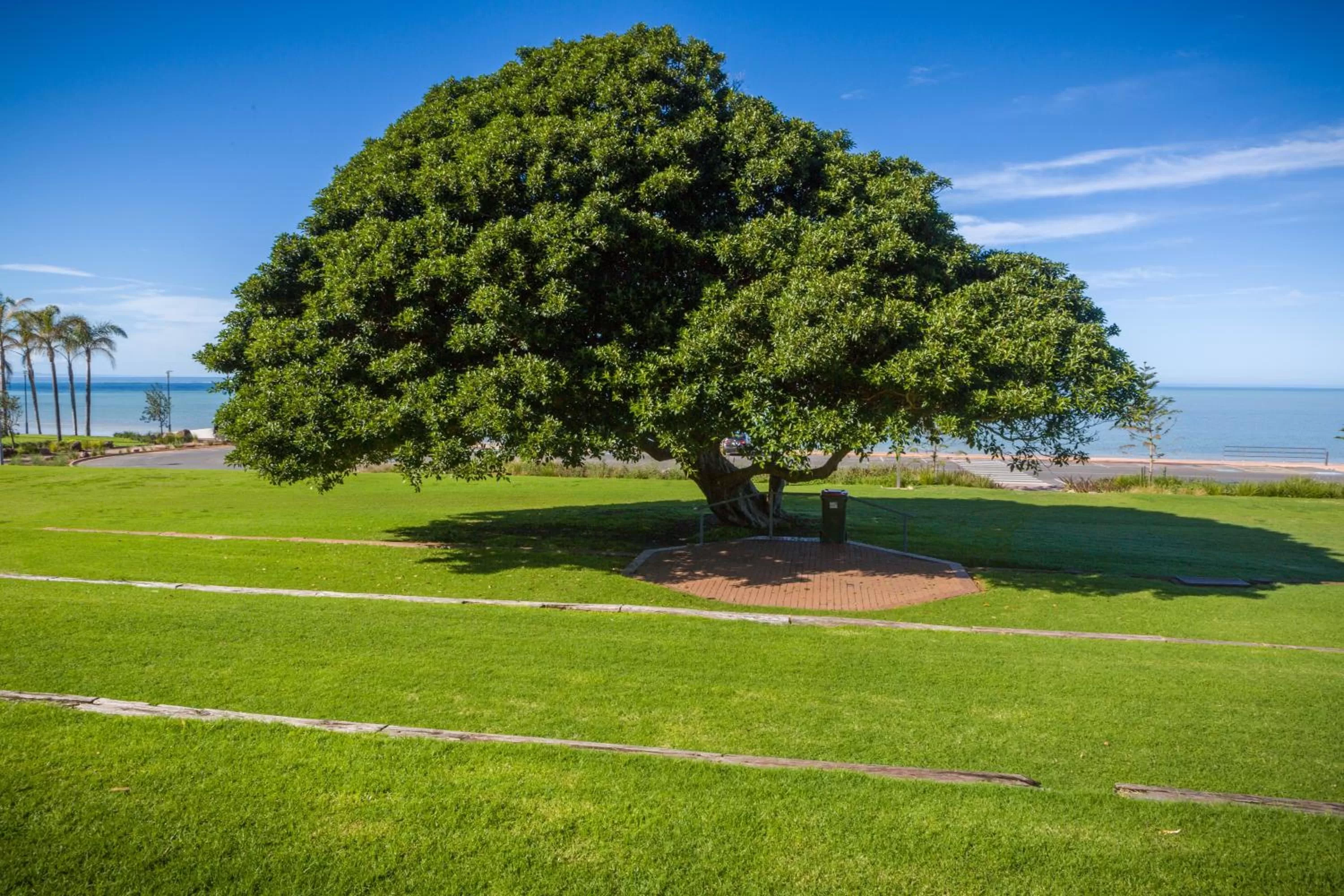 Restaurant/places to eat, Garden in Foreshore Motor Inn