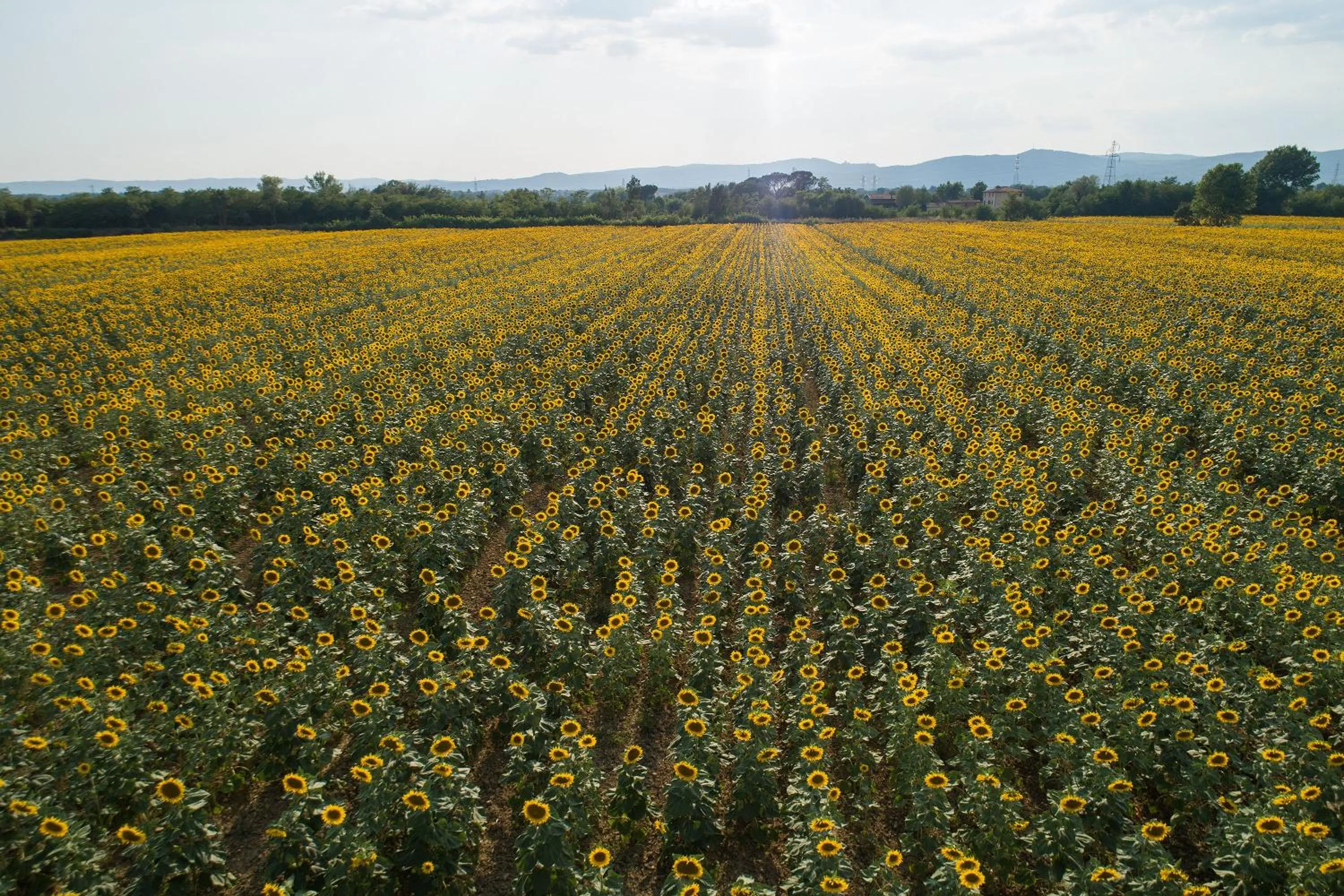 Natural Landscape in Hotel Le Capanne