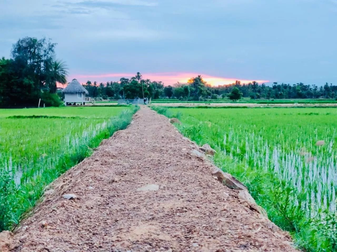 Property building in Marutham Village Resort