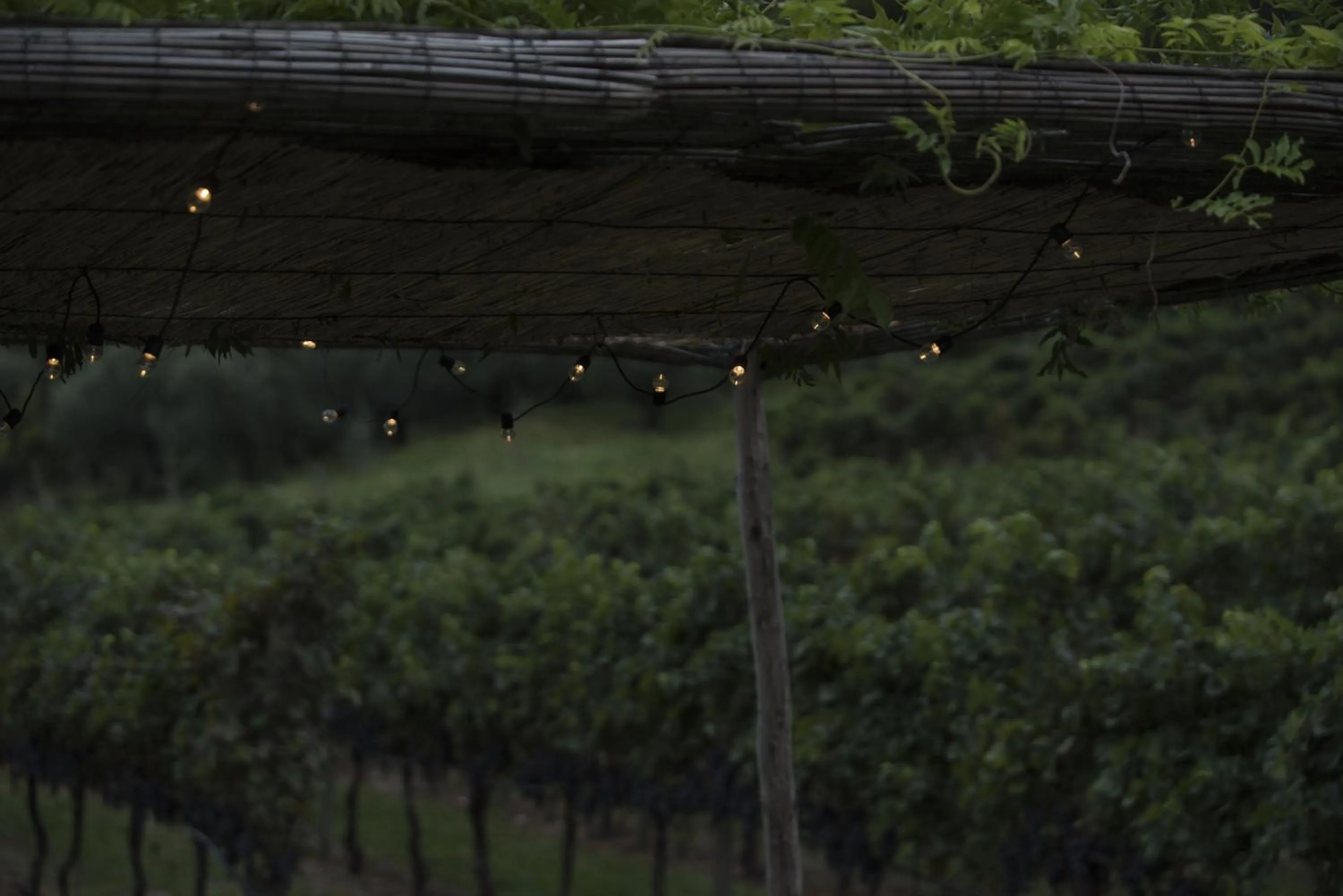 Night in Residence La Vigna