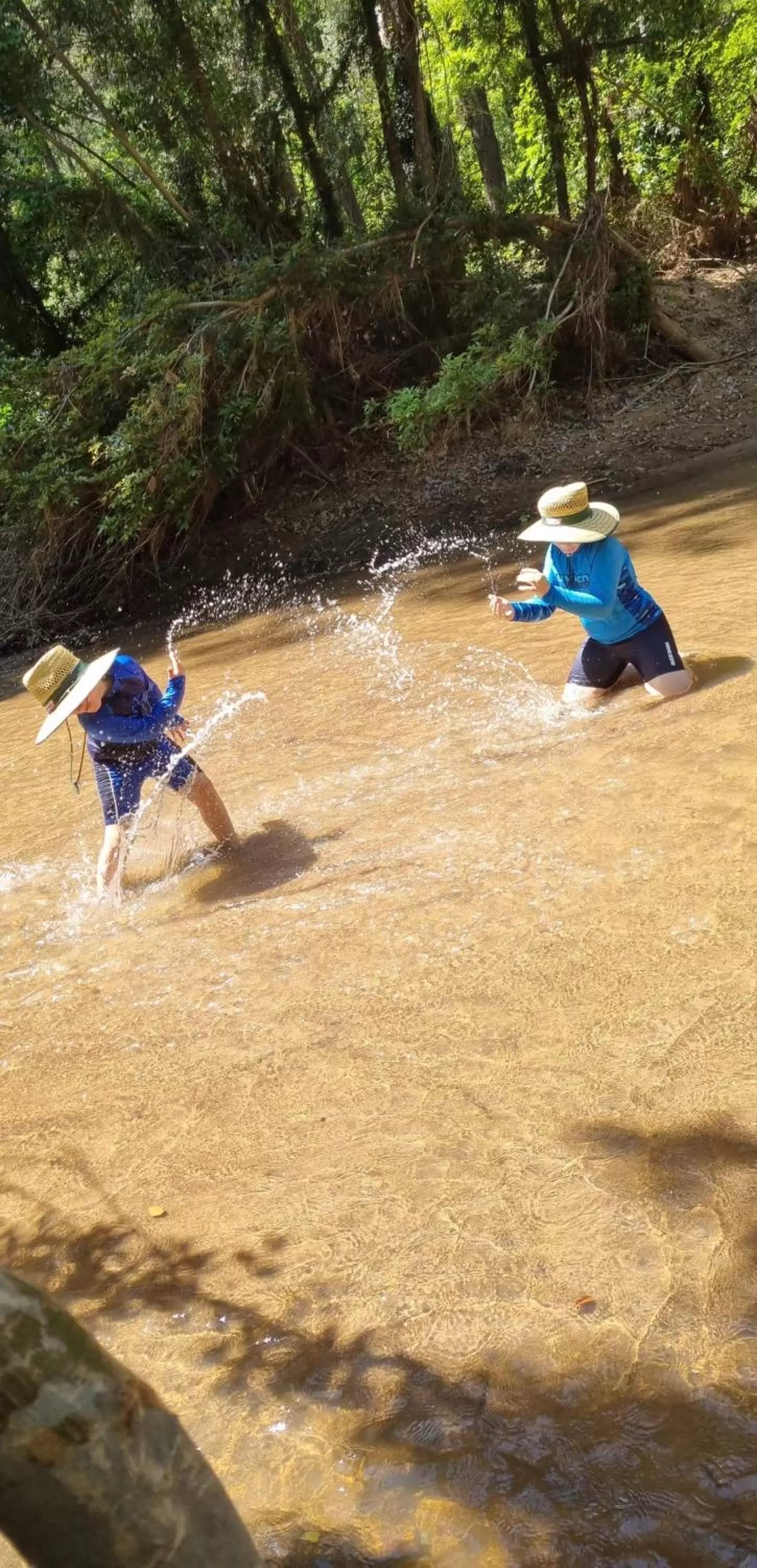 Esk Mountain View Lodge