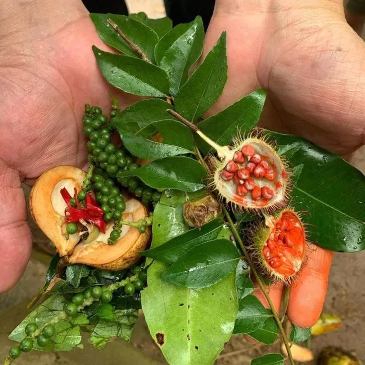 Food in Seashore Villa