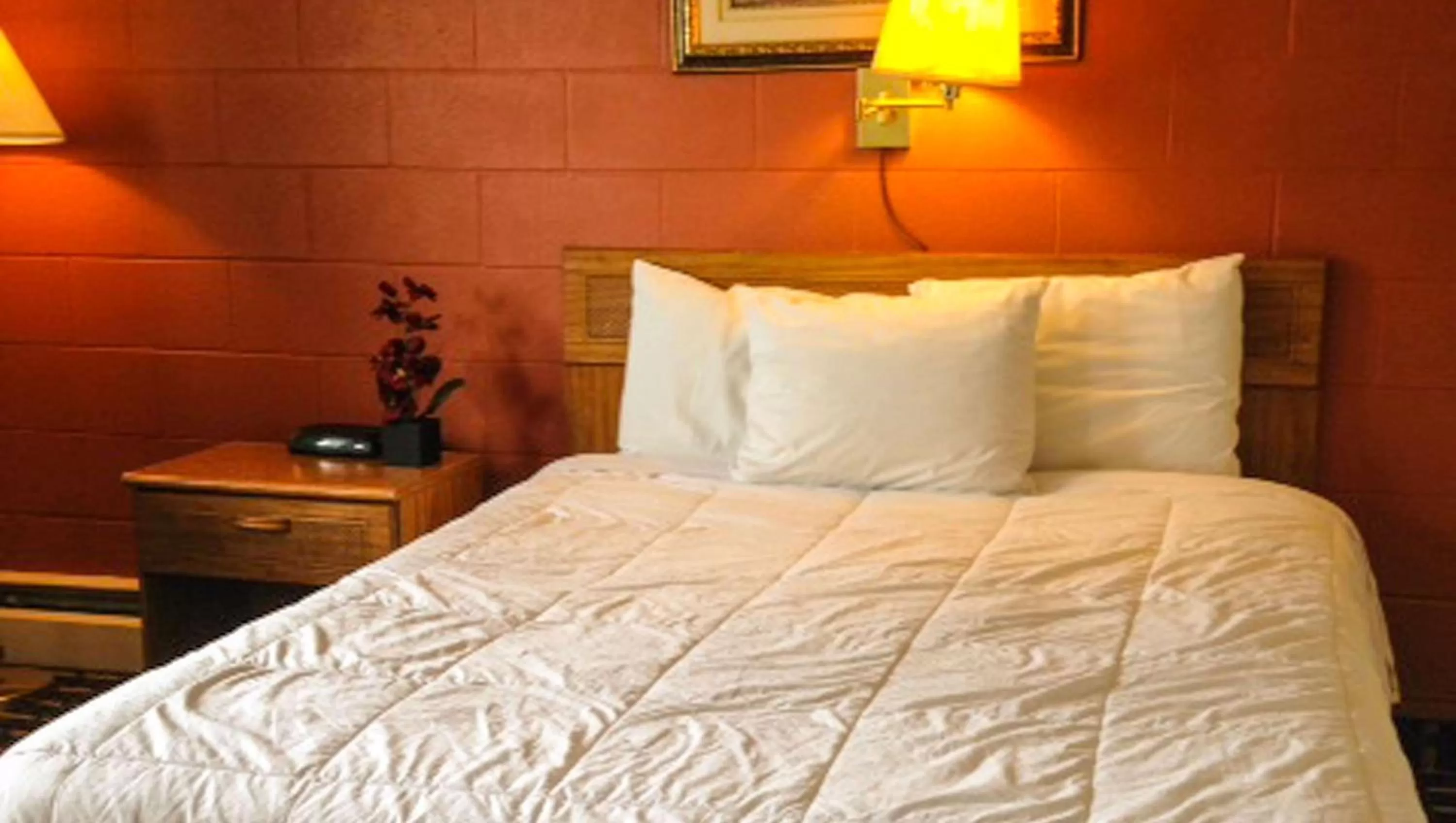 Photo of the whole room, Bed in Rodeway Inn