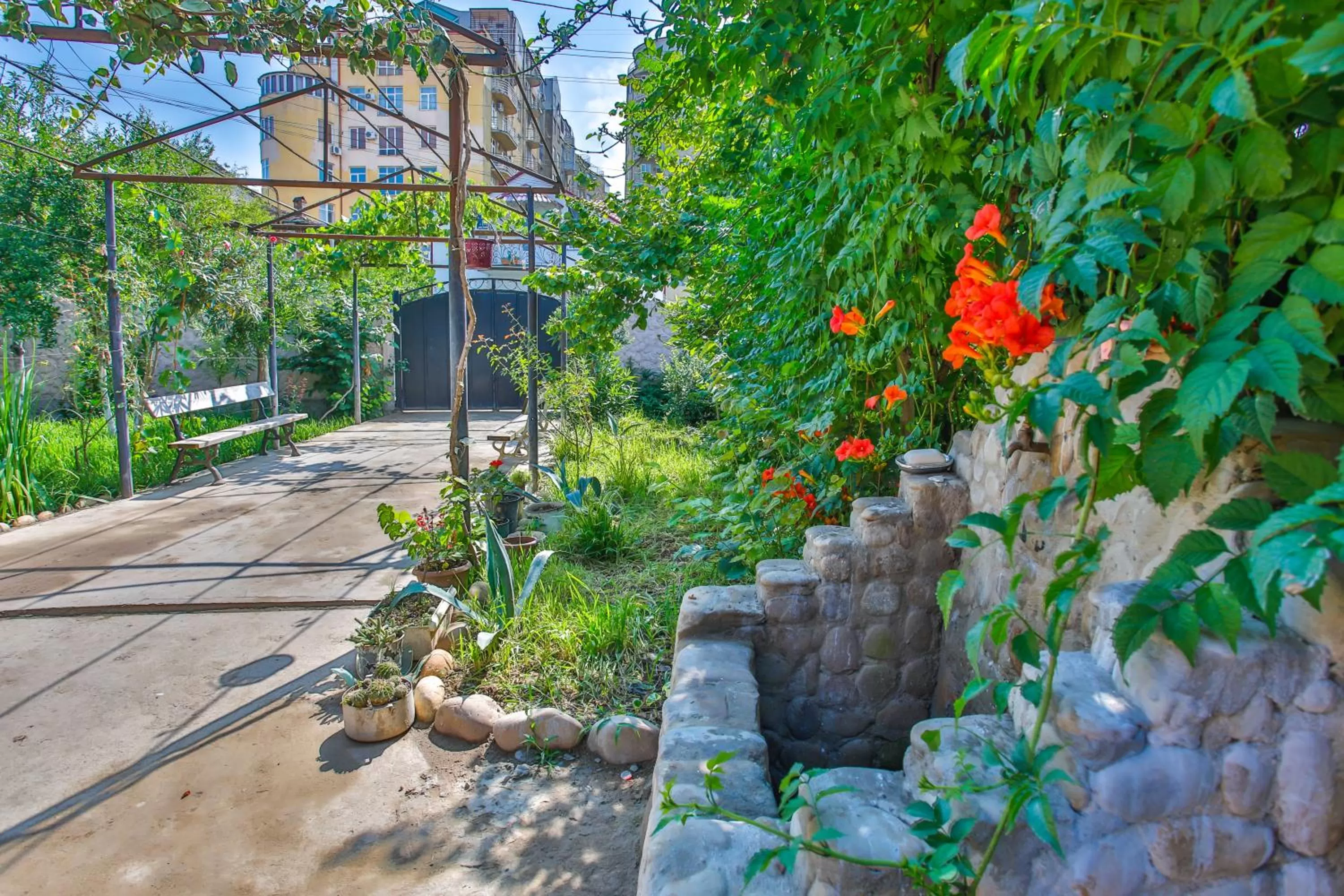 Garden in Book Hotel