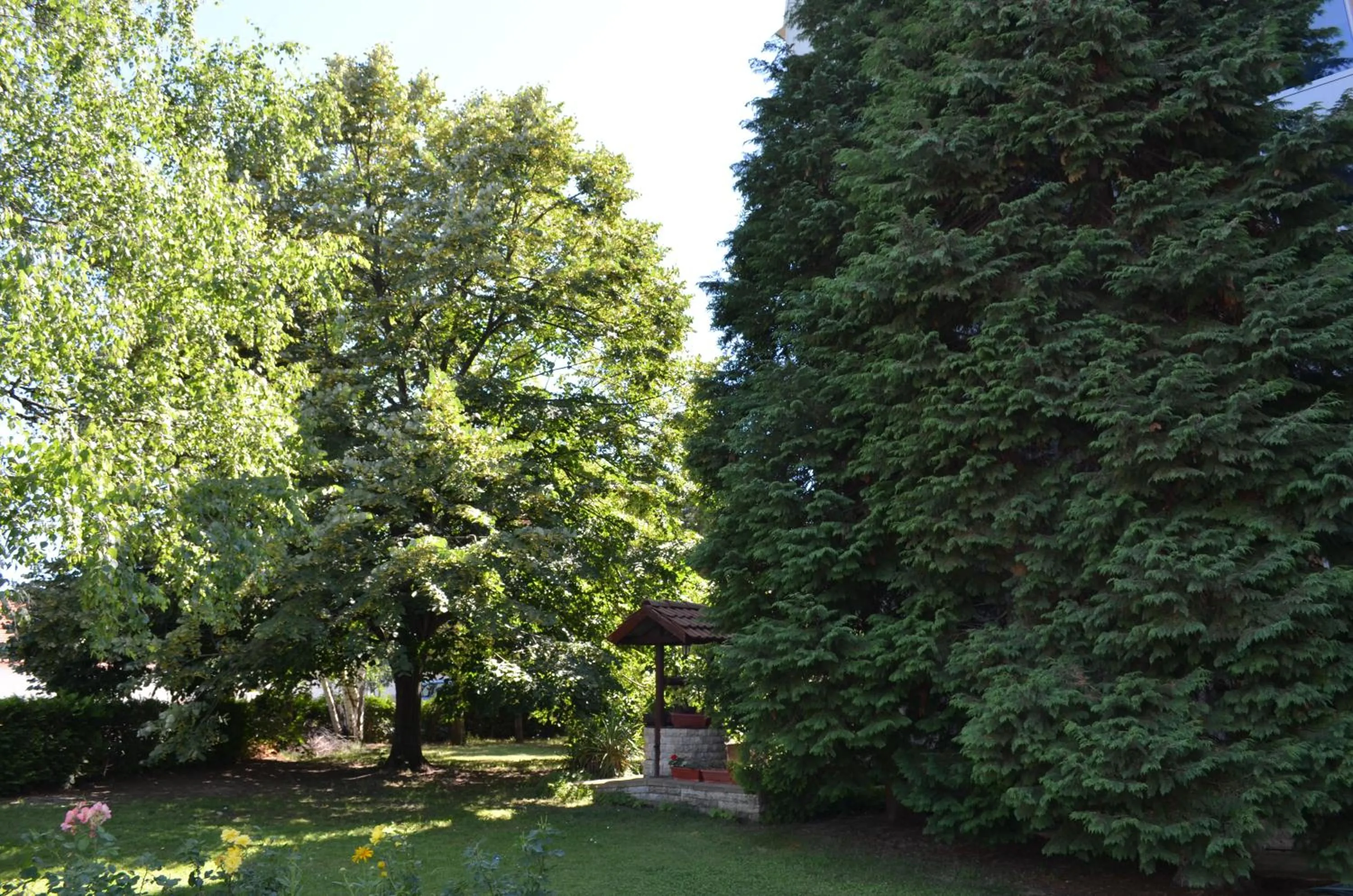 Garden in Hotel Bankya Palace