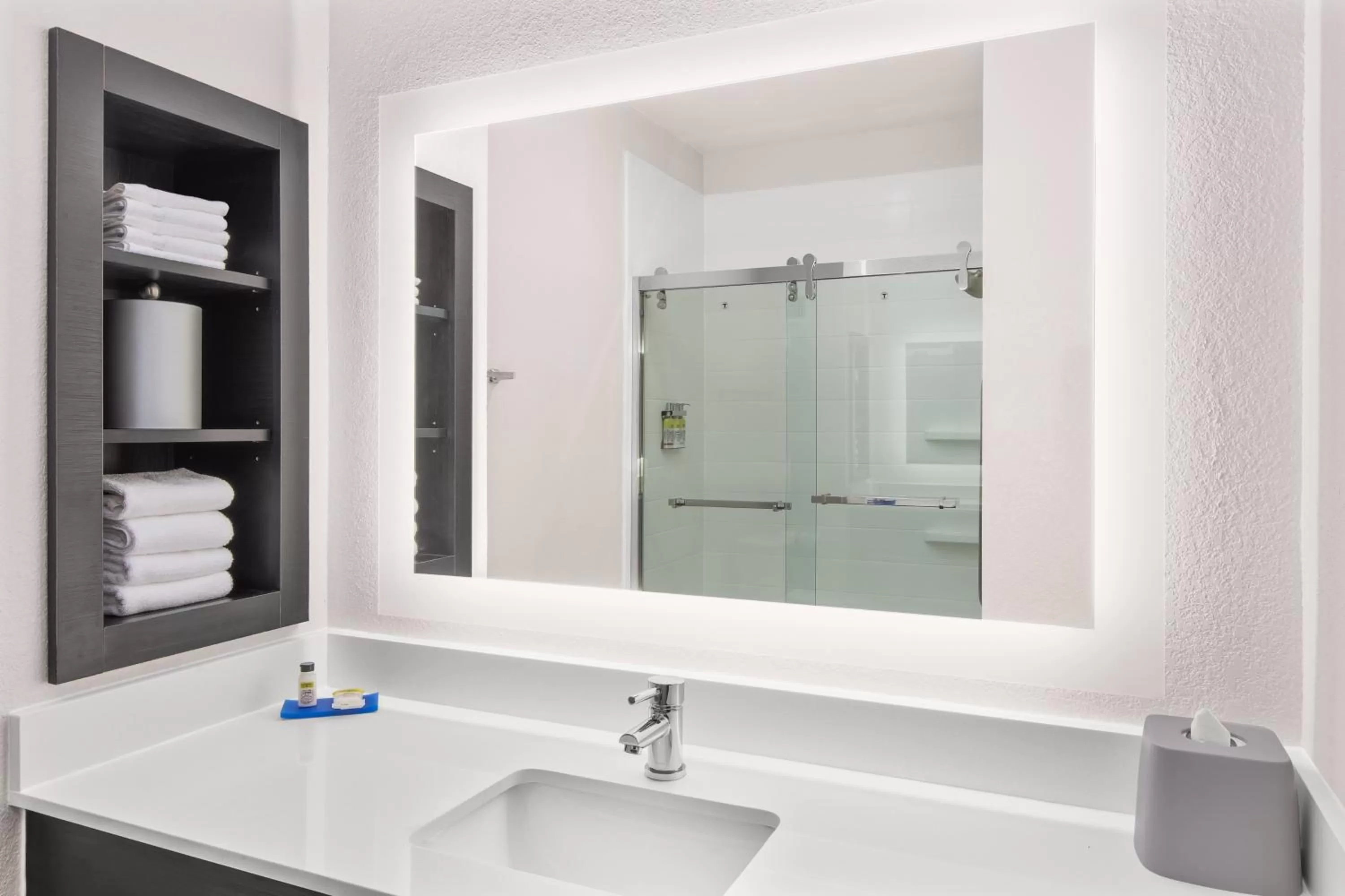 Bathroom in Holiday Inn Express & Suites Greenville-I-85 & Woodruff Rd by IHG