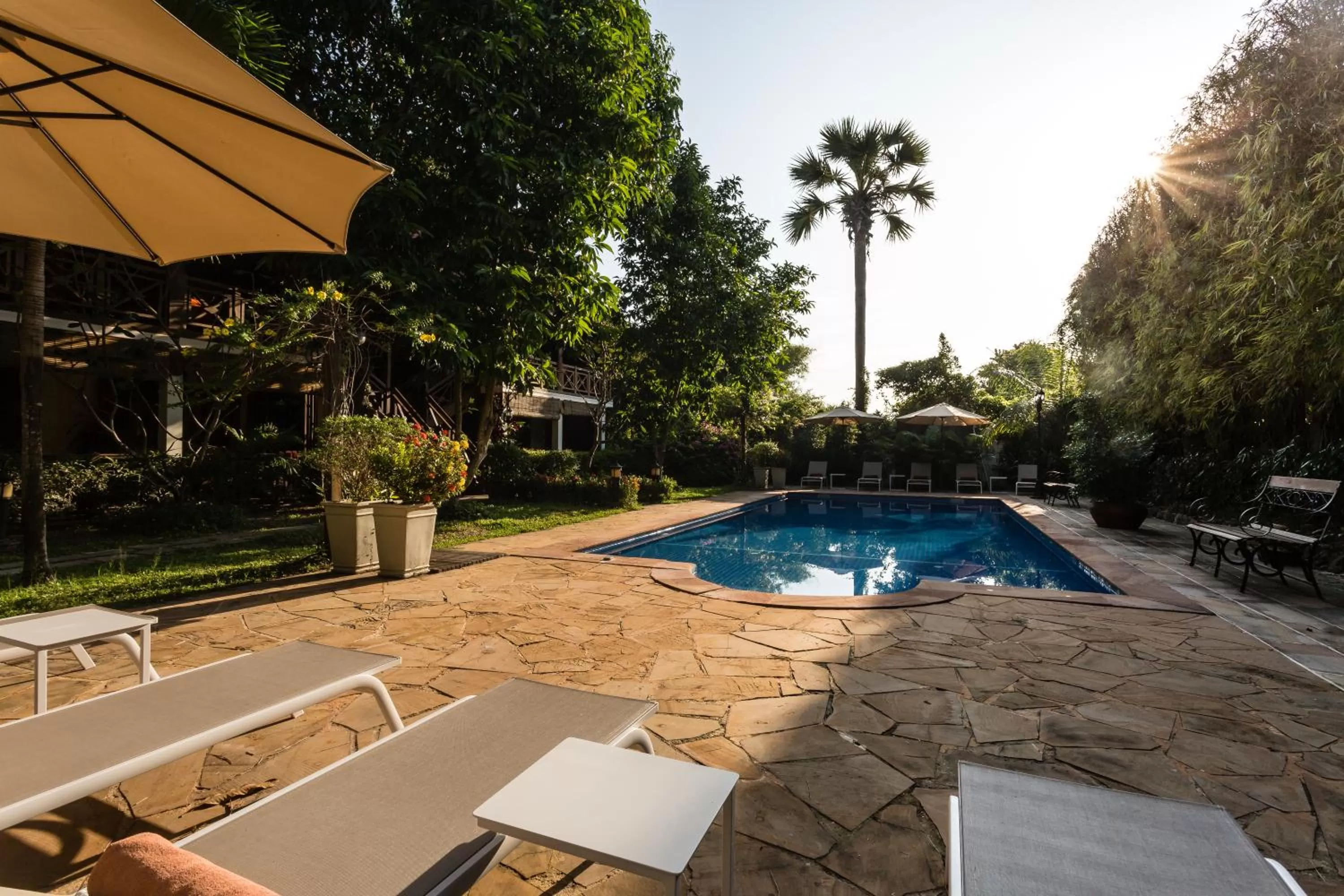 Swimming pool in La Palmeraie D'angkor