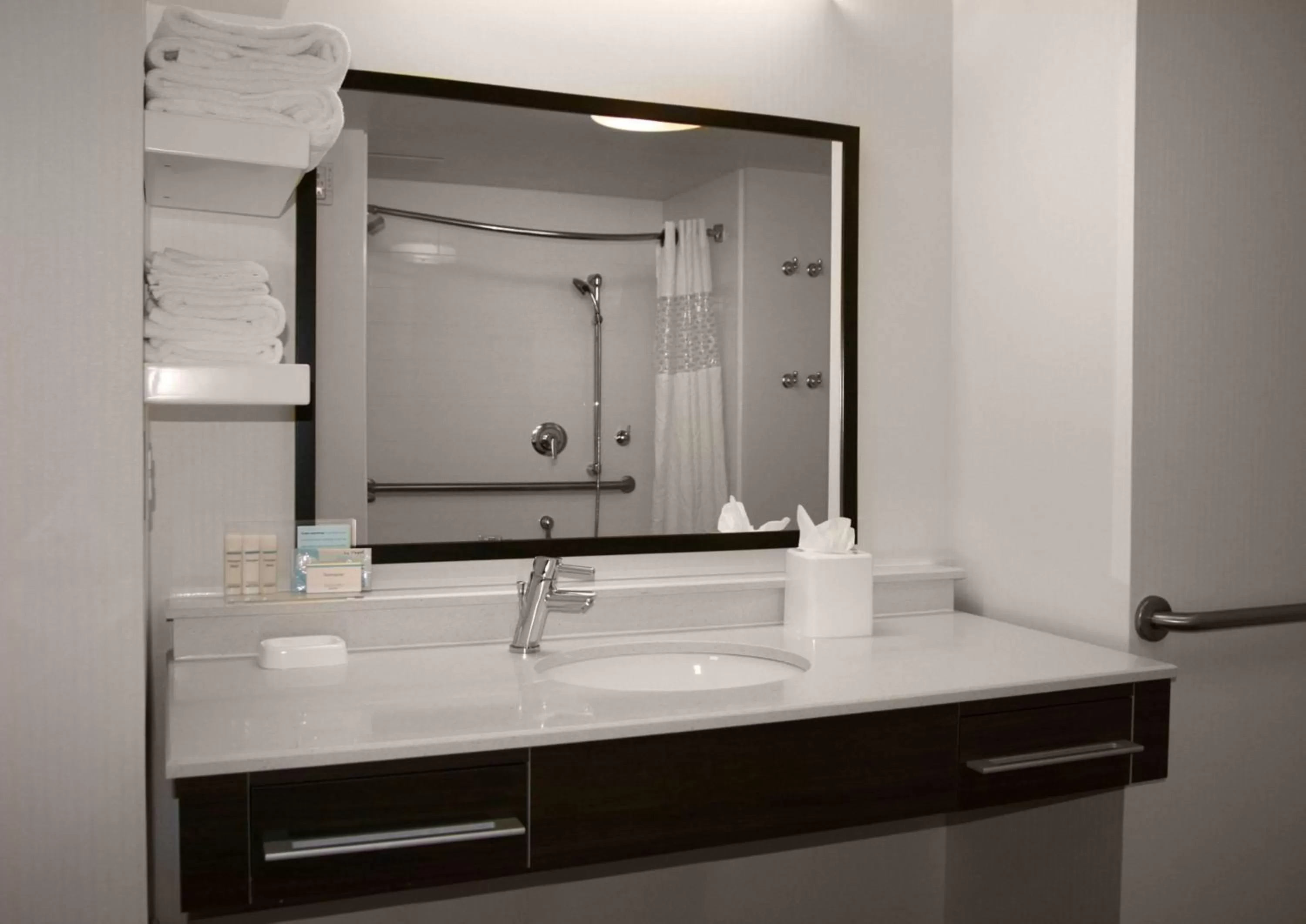 Bathroom in Hampton Inn & Suites Charlotte/Pineville