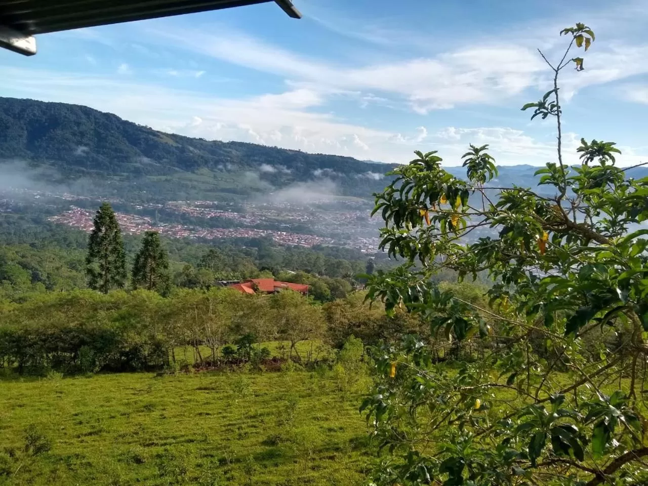 Natural landscape in Hotel Green Mountain turrialba