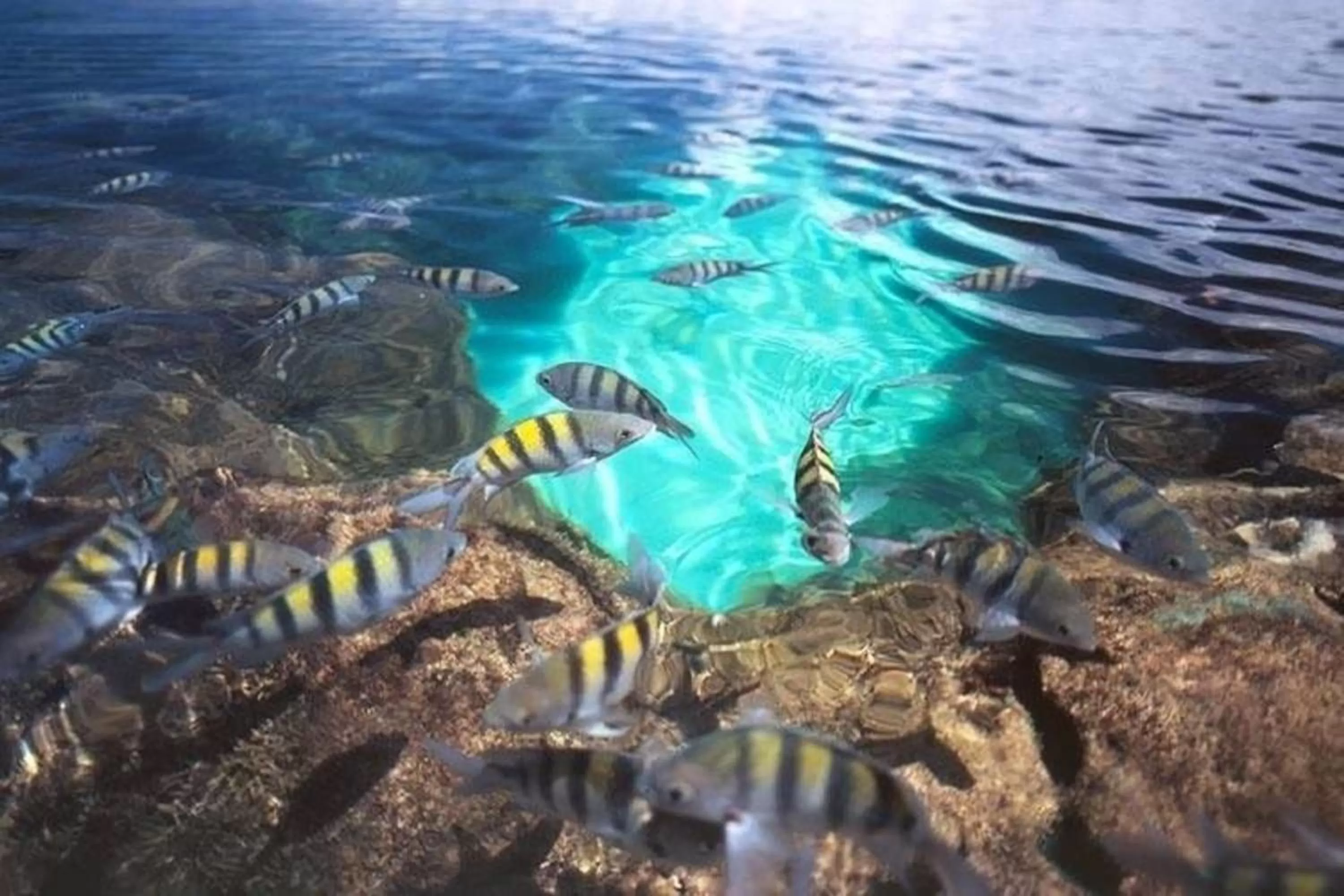 Autumn in Pousada Mariluz