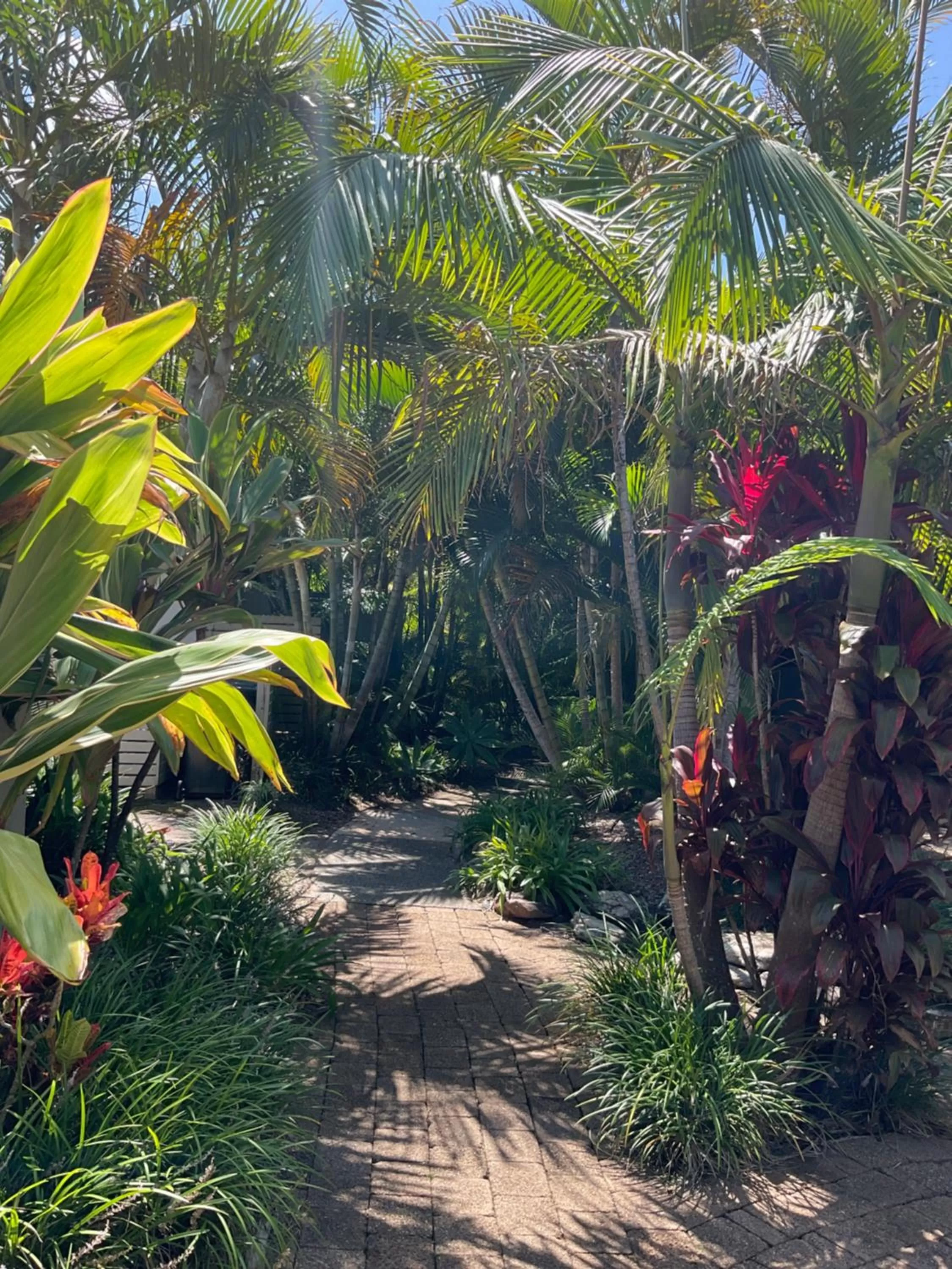 Garden in Private Suite Nautilus Beach Front Resort
