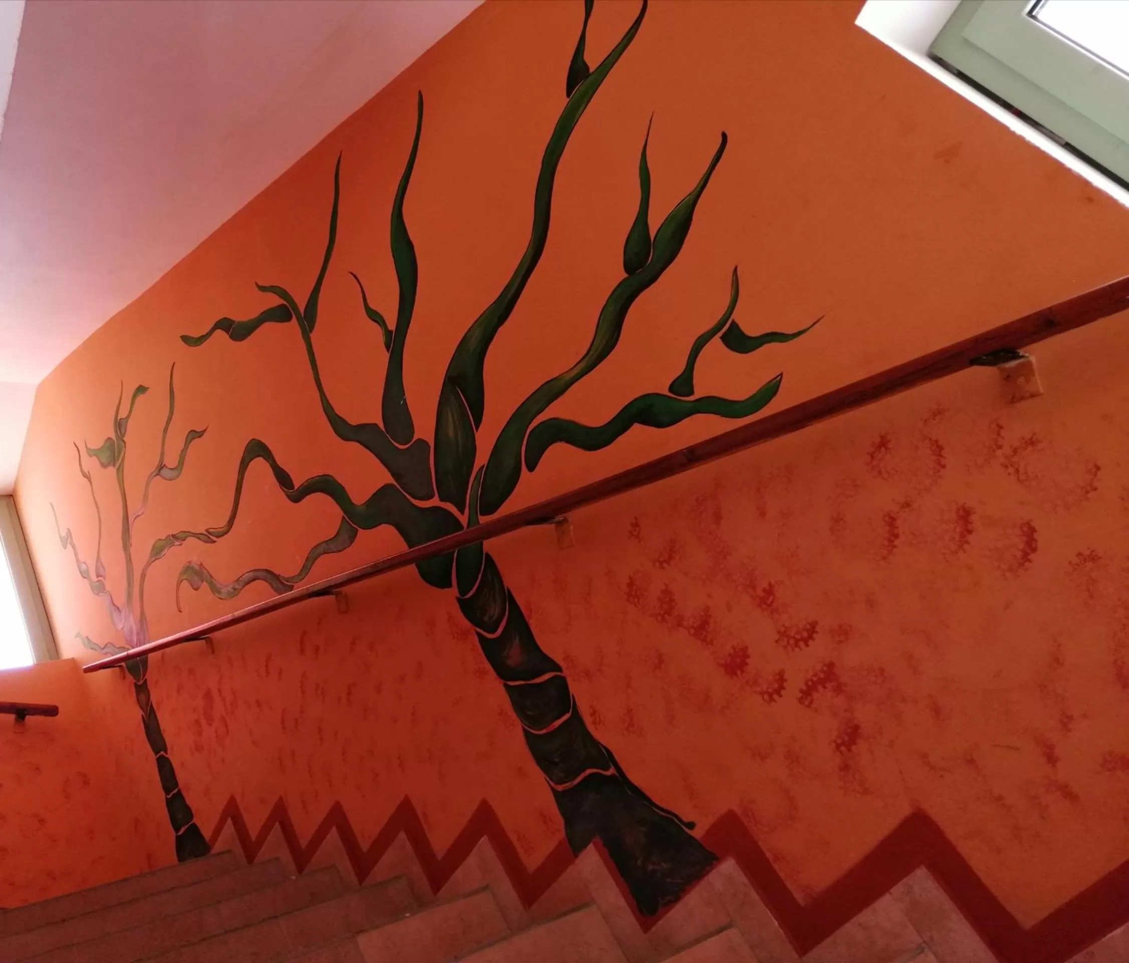 Area and facilities in B&B Salinas Boa Vista WiFi FREE