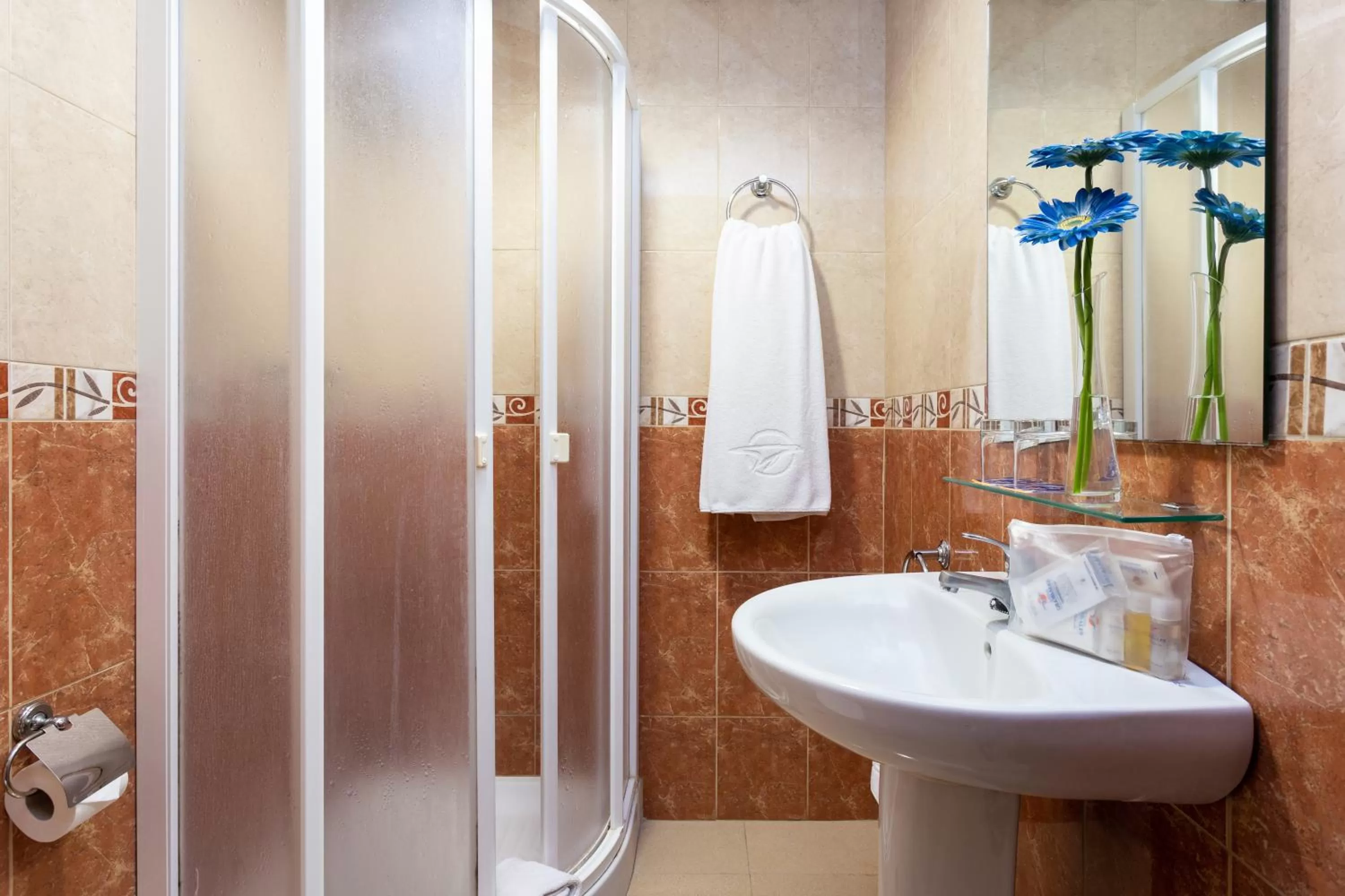 Bathroom in Globales Acuario