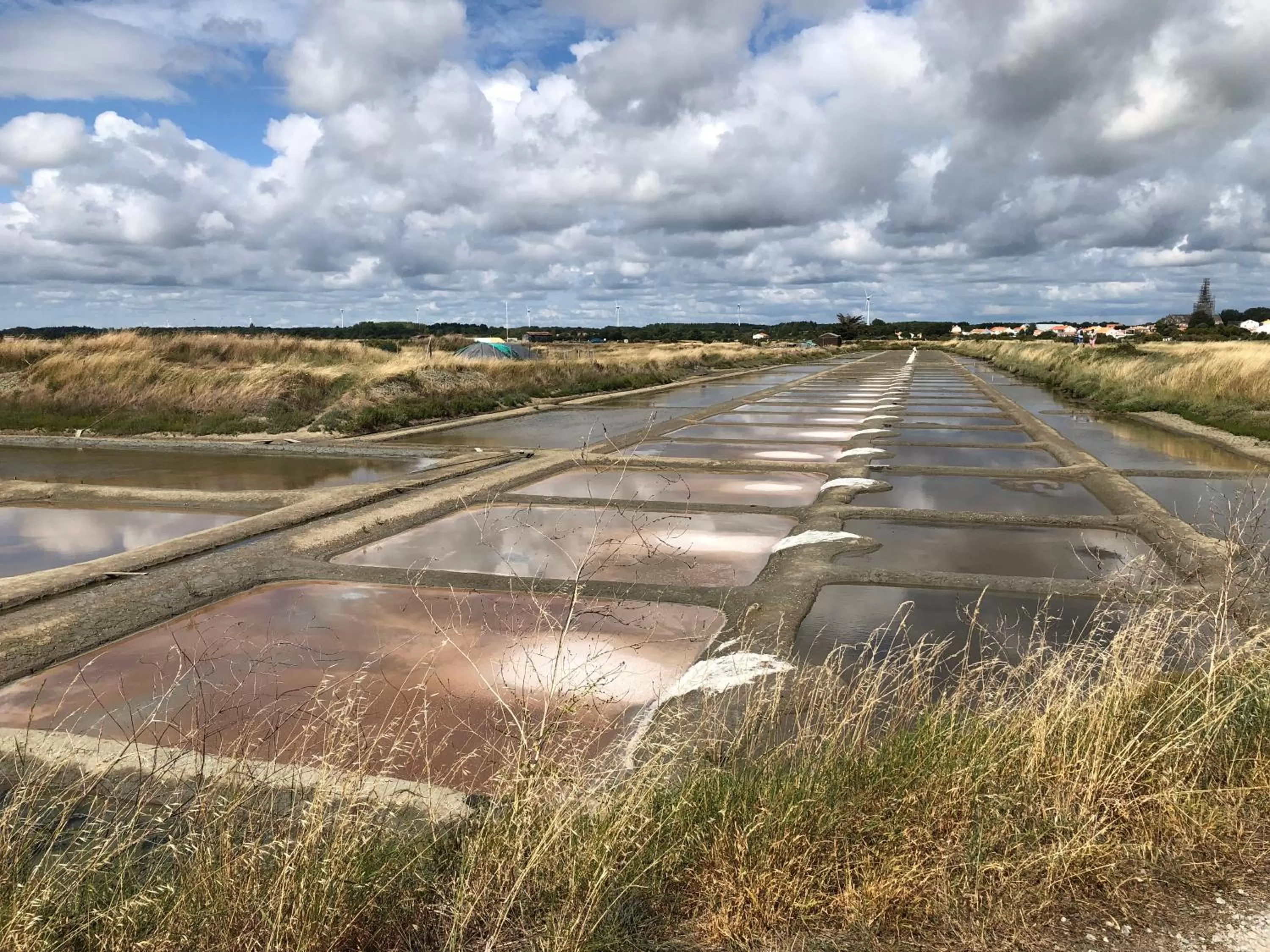 Neighbourhood in L Atypique