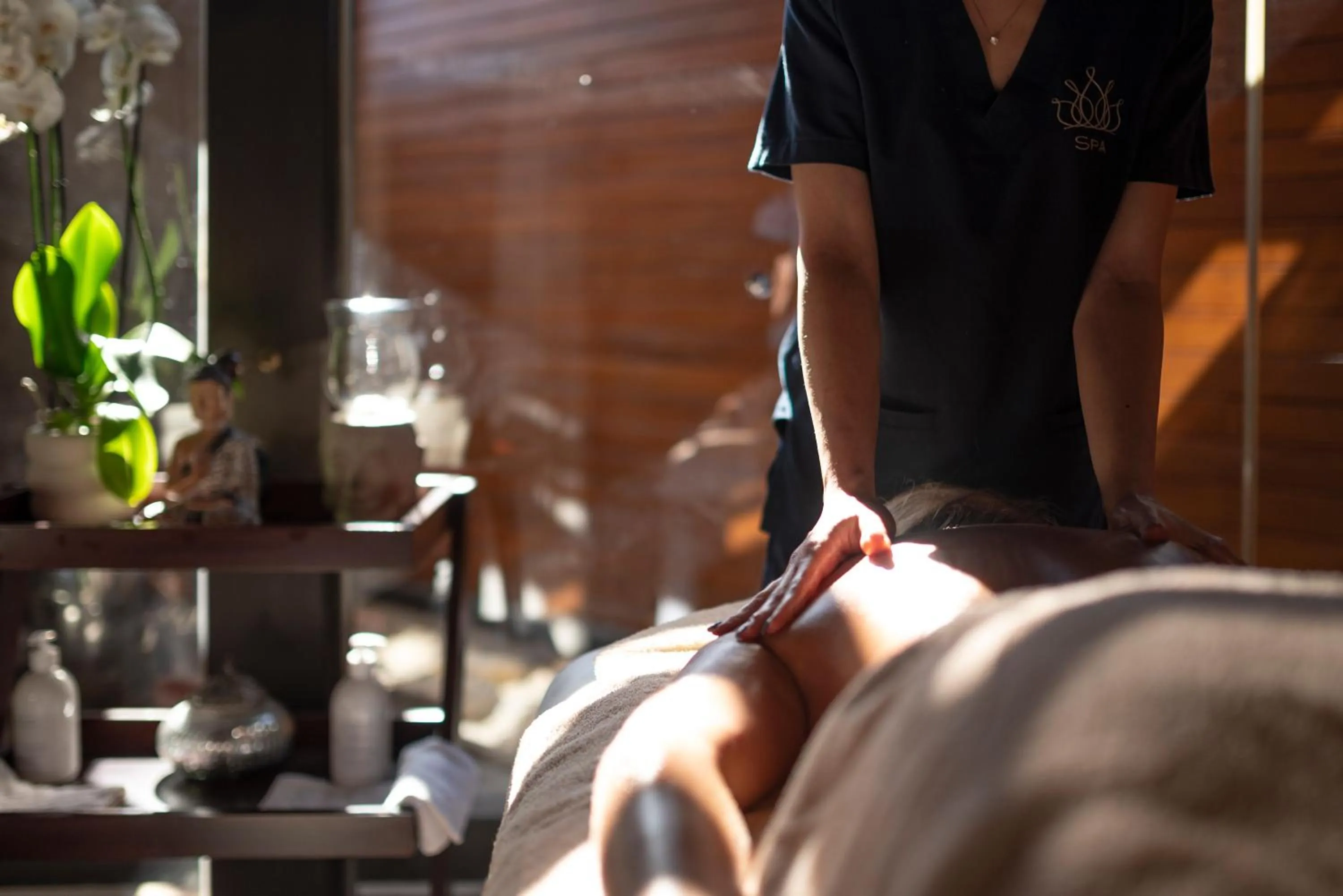 Massage in D'Andrea Mare Hotel