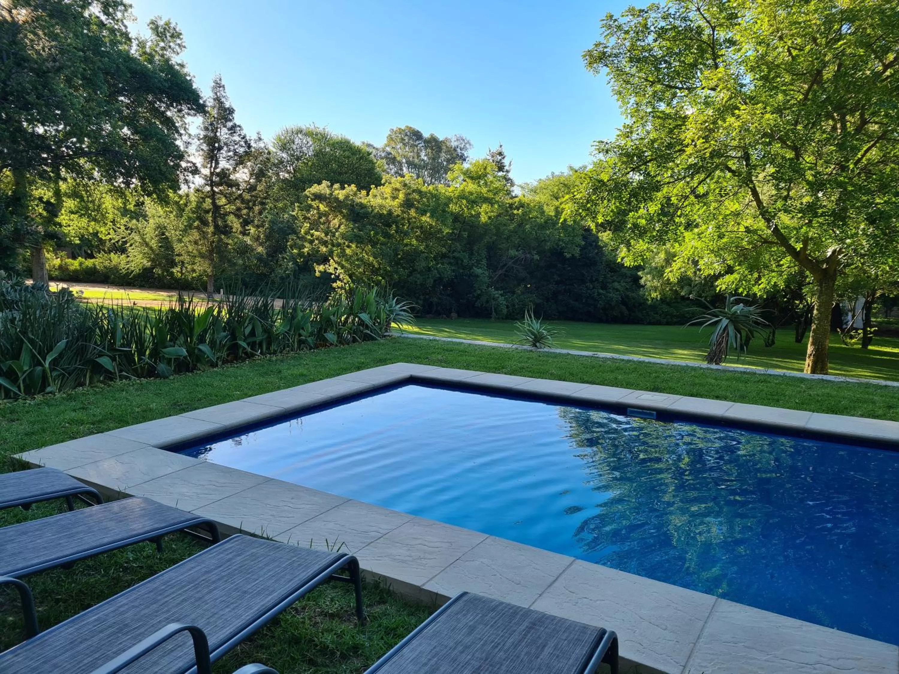 Swimming pool in Amberhall Guesthouse