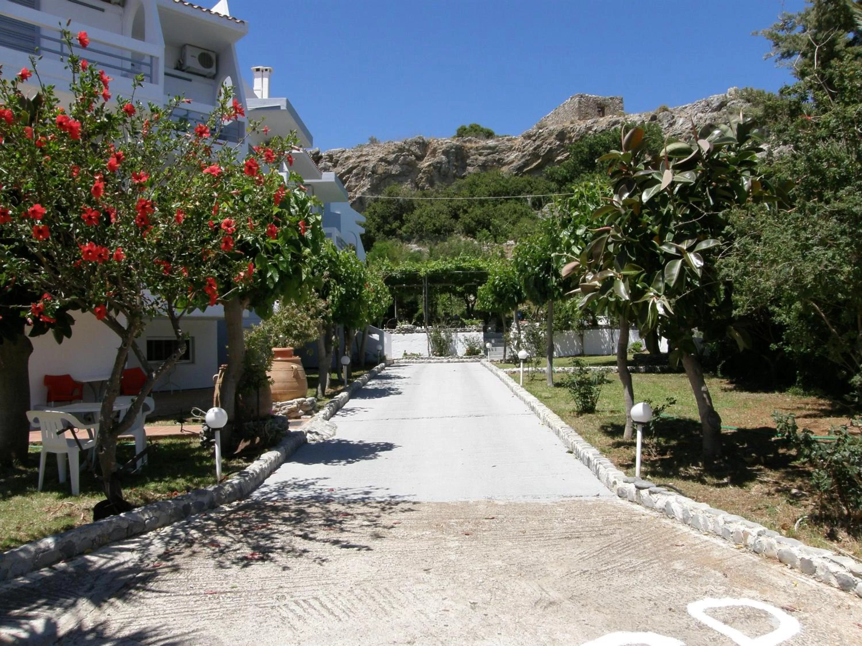 Garden in Megim Hotel