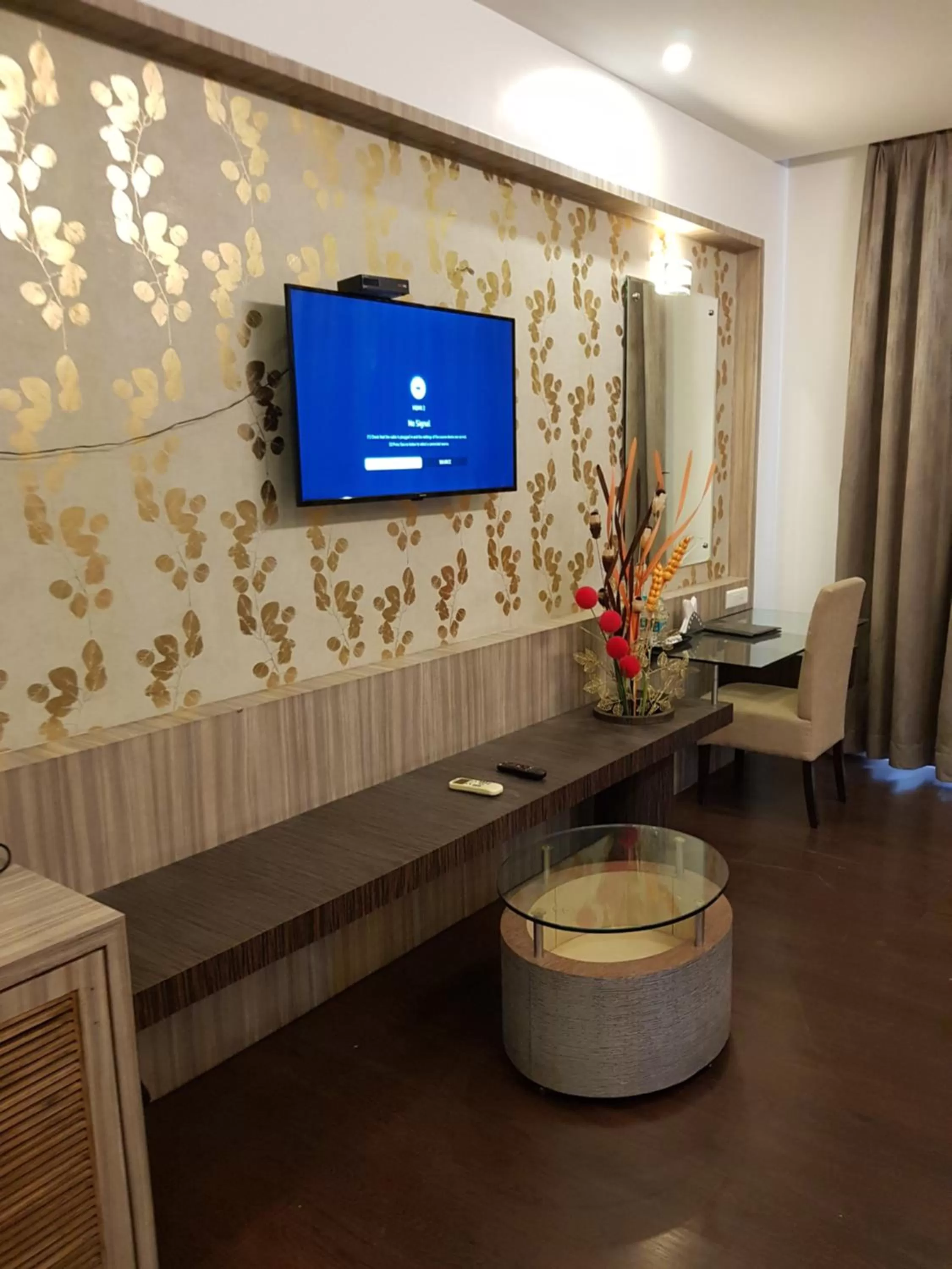 TV and multimedia in Hotel Udayanraje Palace