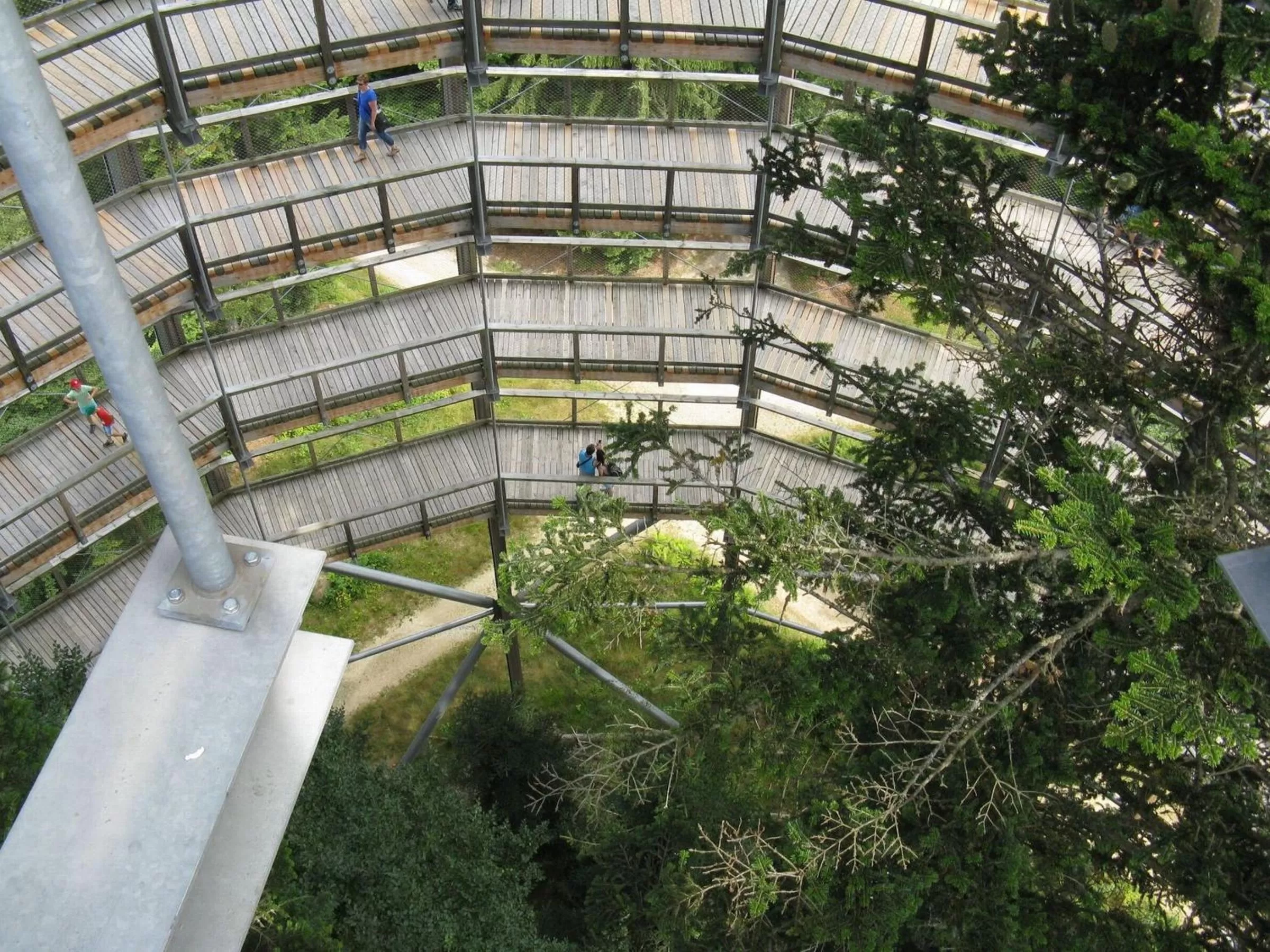 Area and facilities in Vitalesca