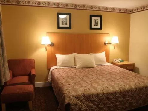 Bed in Stardust Motel