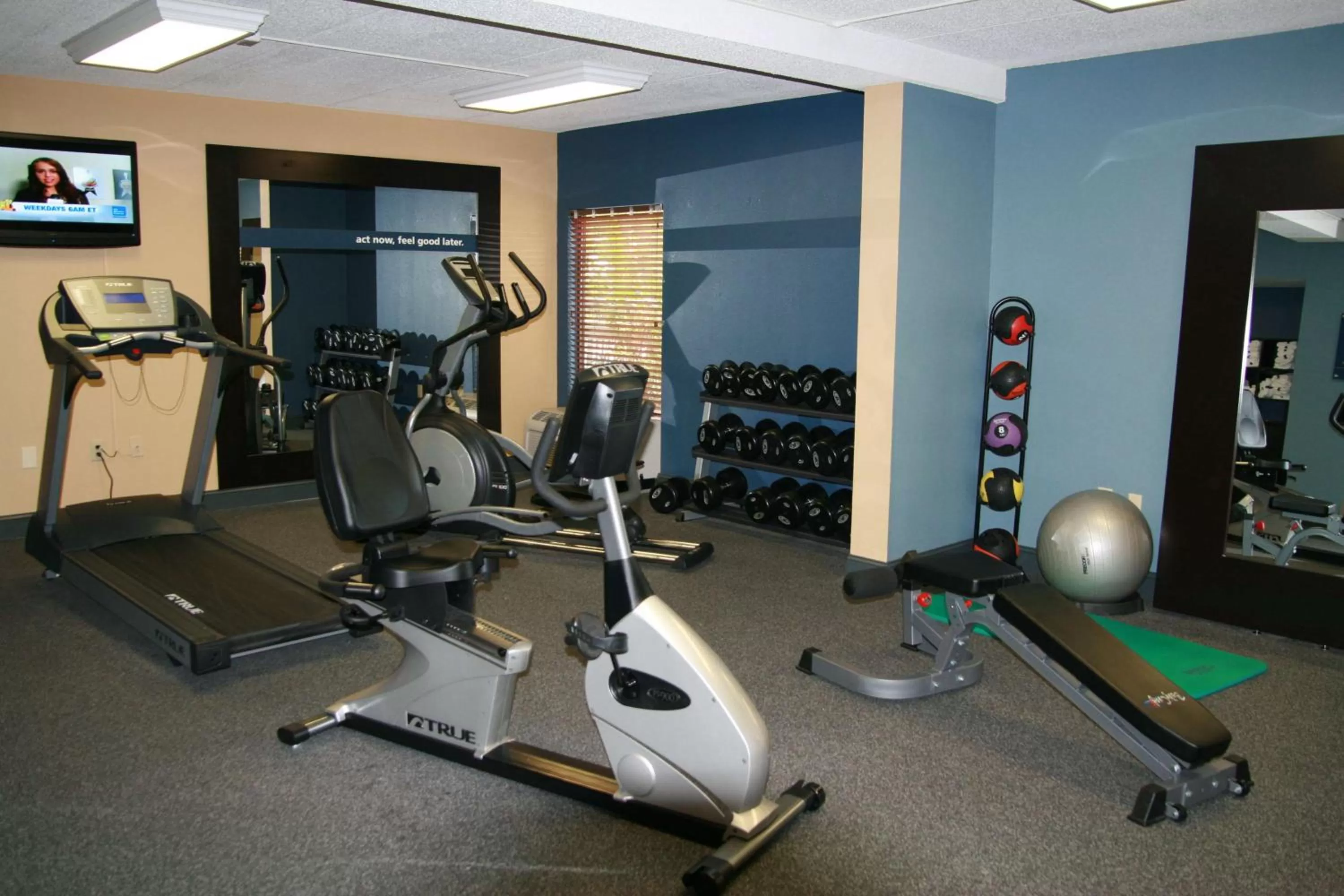 Fitness centre/facilities in Hampton Inn Brevard