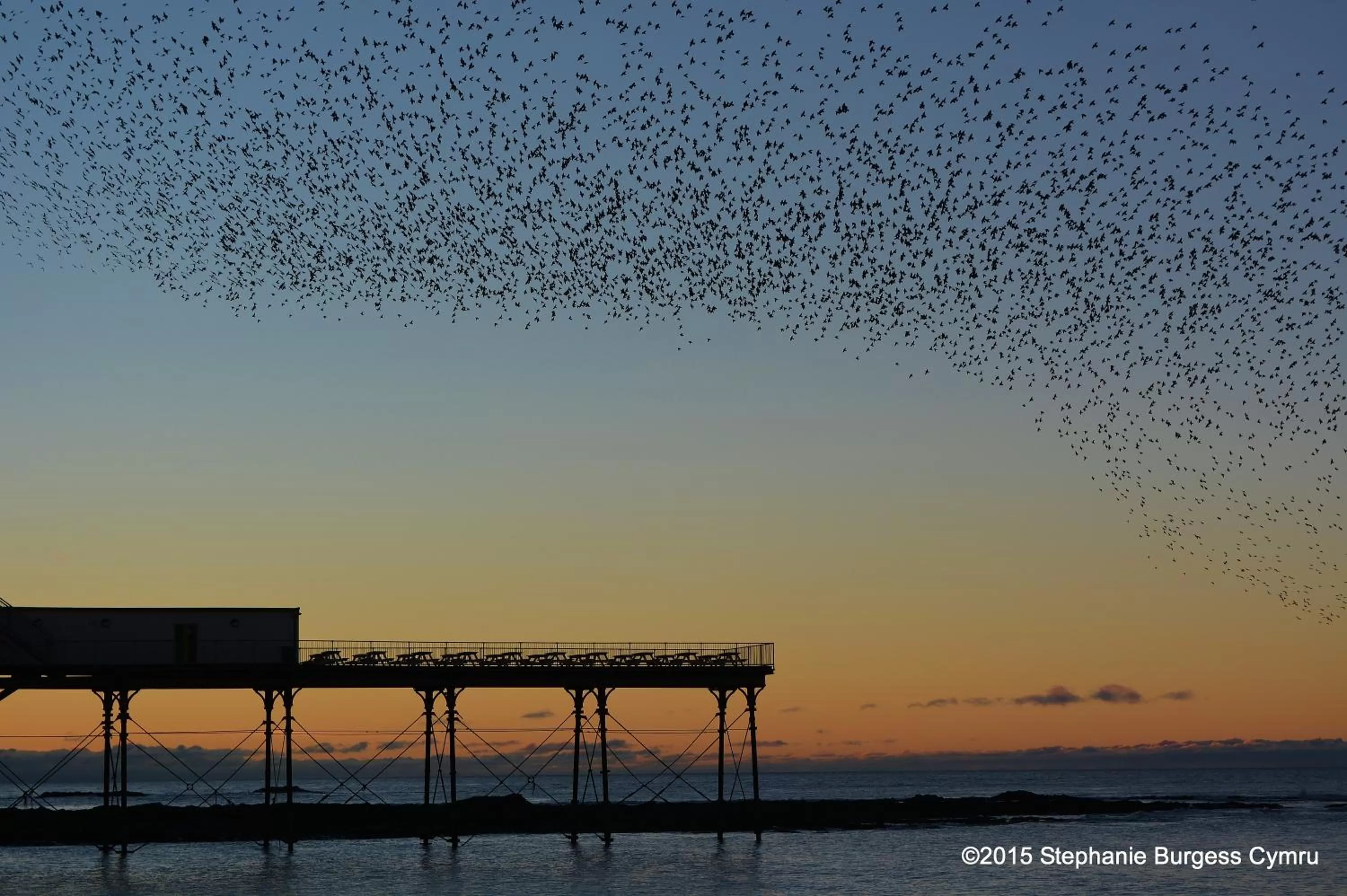 Sea view in No 47 Marine Terrace