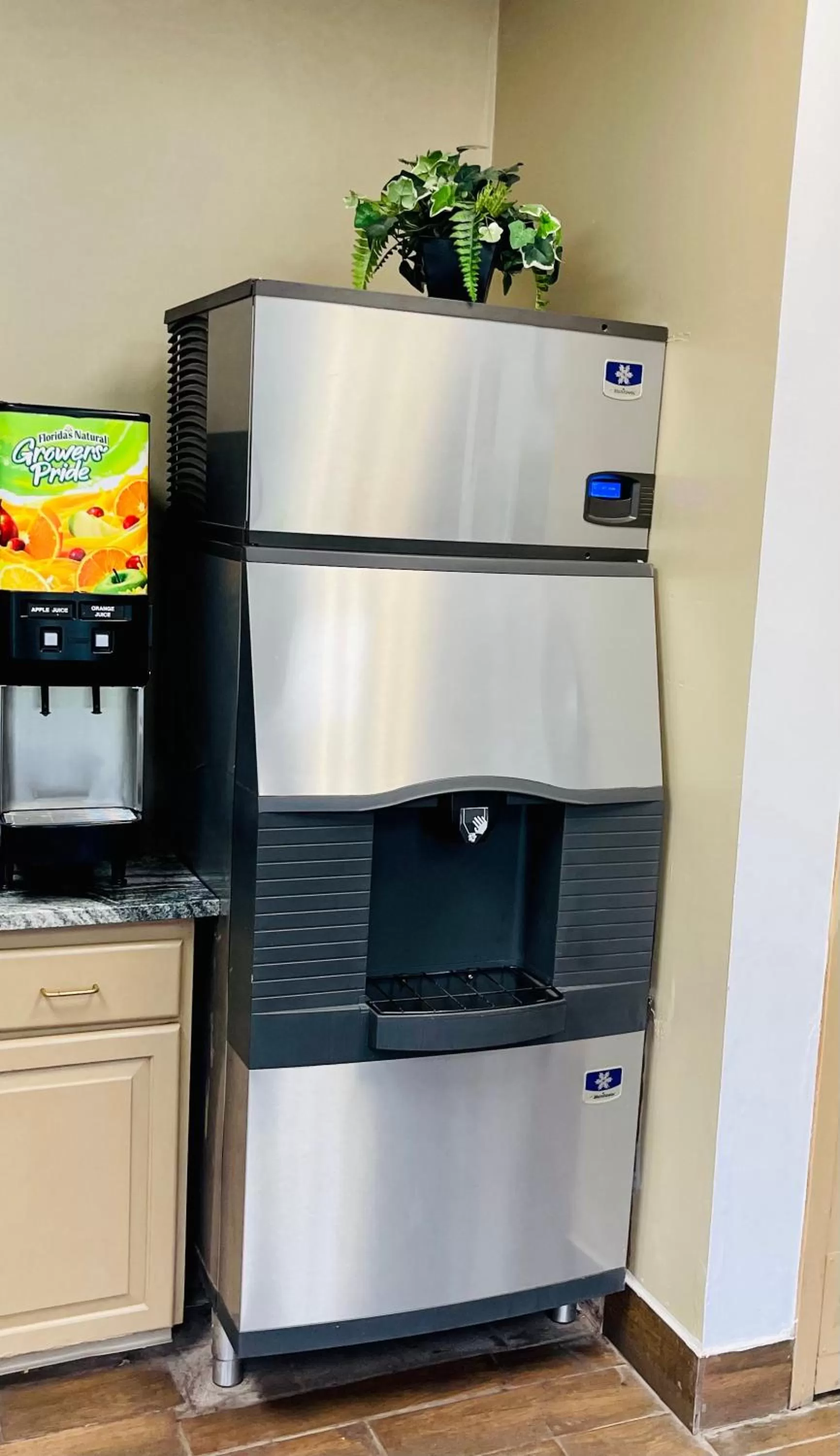 Area and facilities in Super 8 by Wyndham Clear Lake