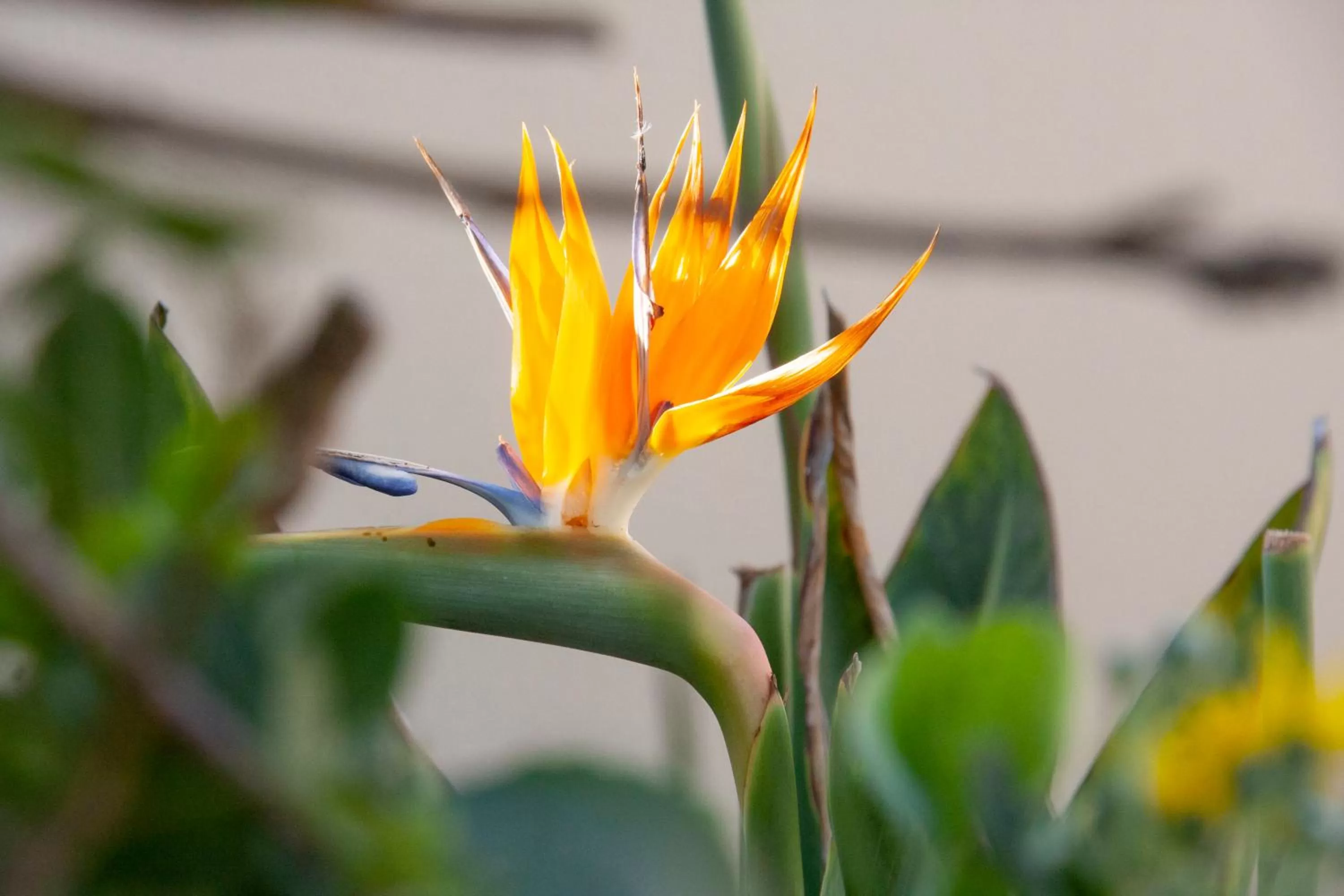 Garden in Kramersdorf Guesthouse