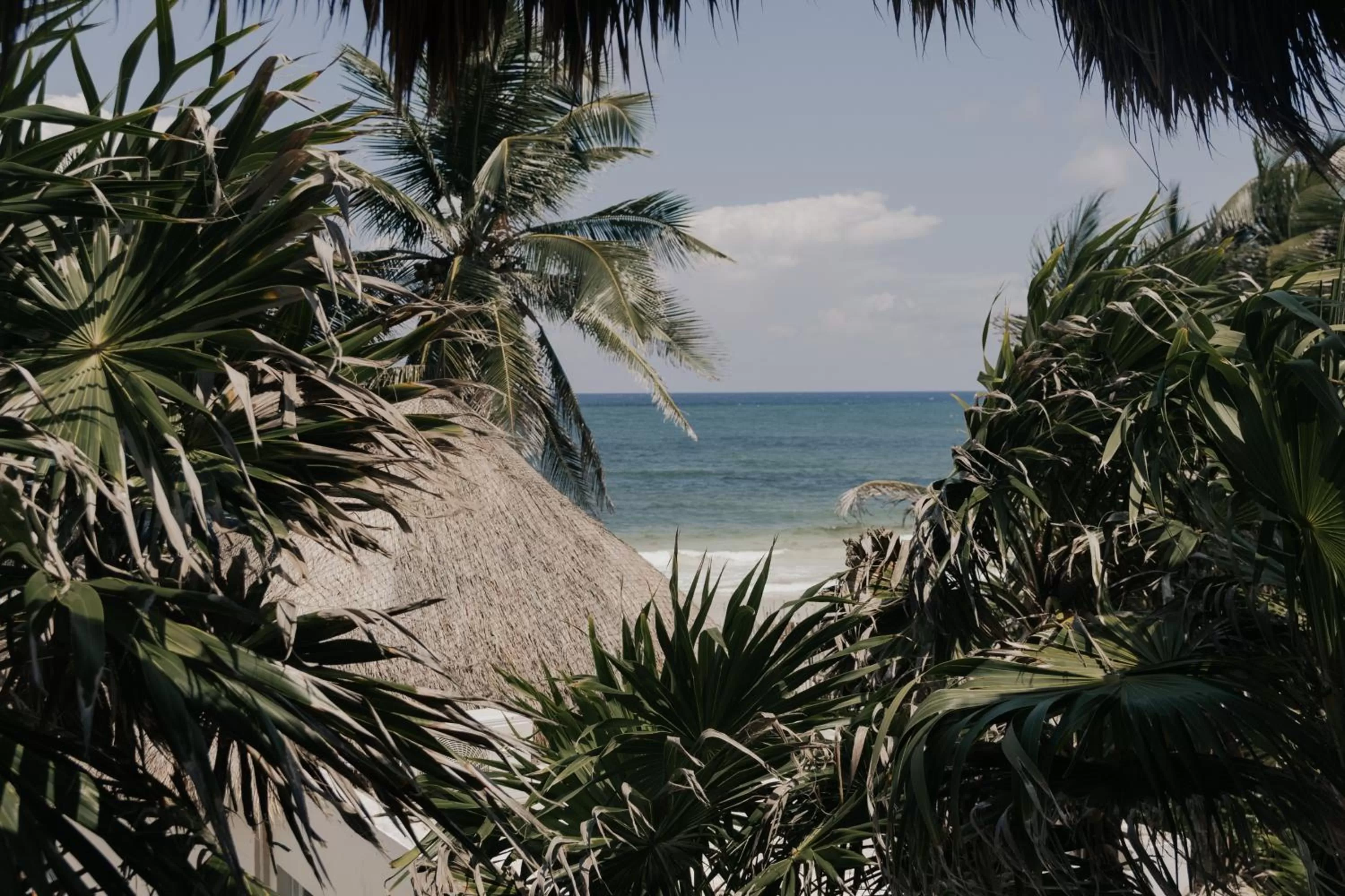 Sea view in Tuup Tulum