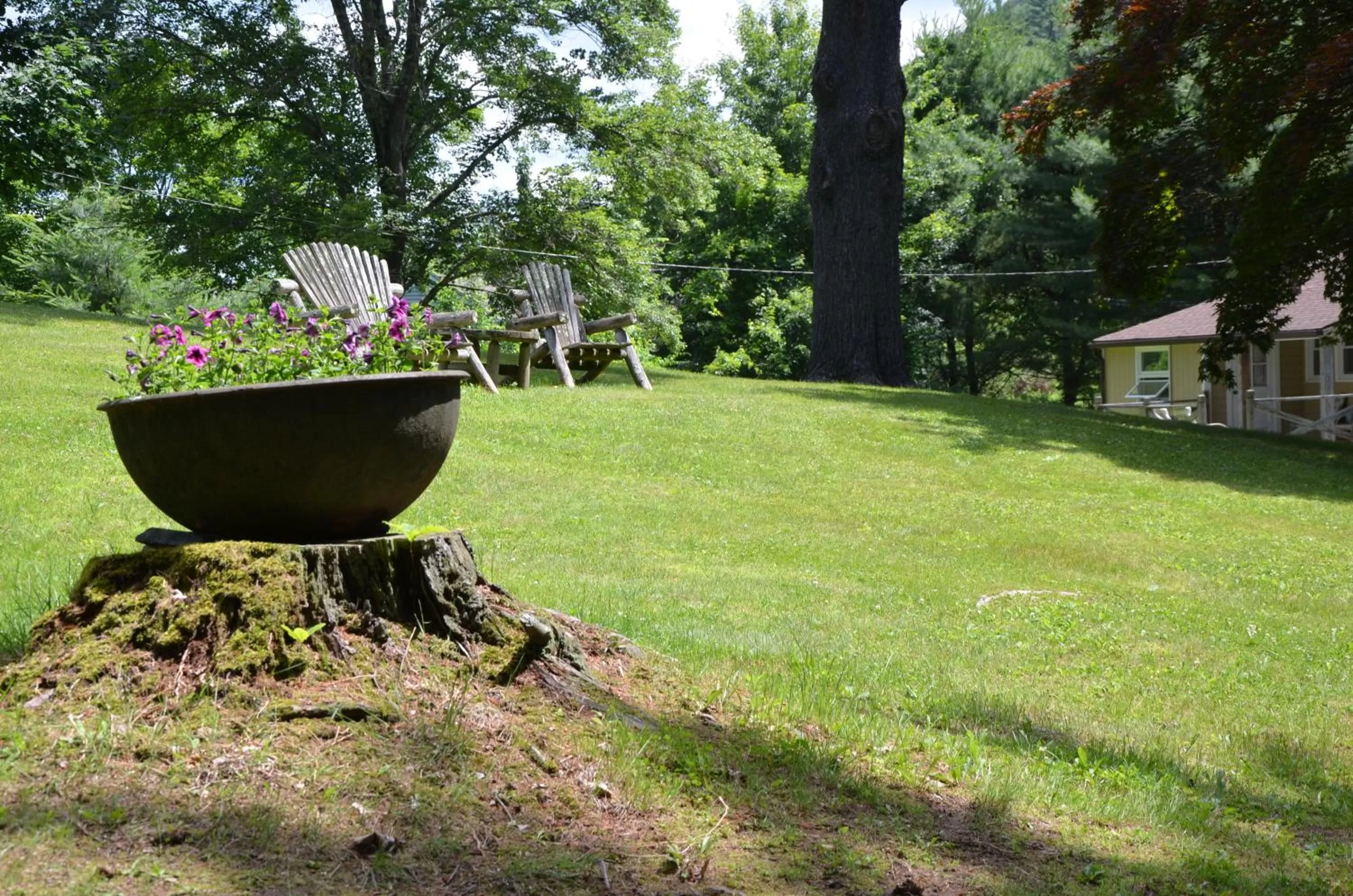 Day, Garden in Cornwall Inn