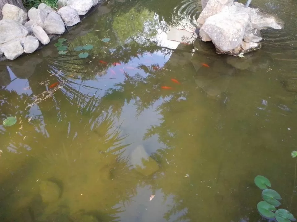 Garden in B&B Pian del Lago