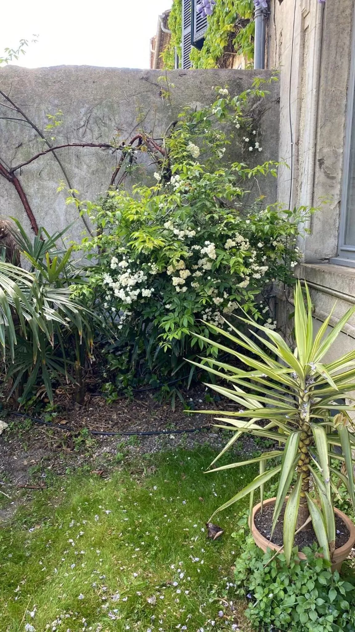 Garden in SalutBB Chambre d'hote