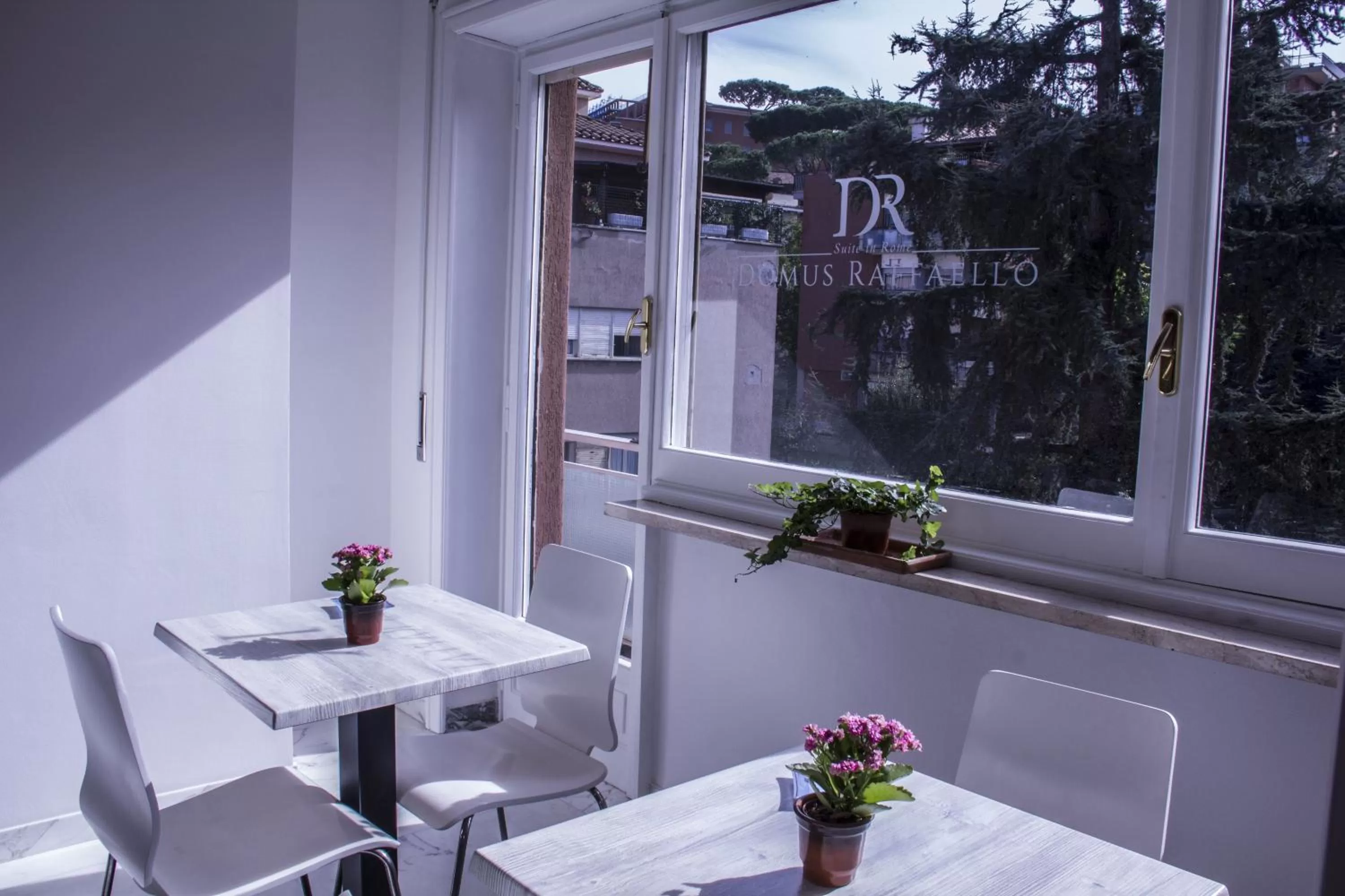 Restaurant/places to eat, Dining Area in Domus Raffaello