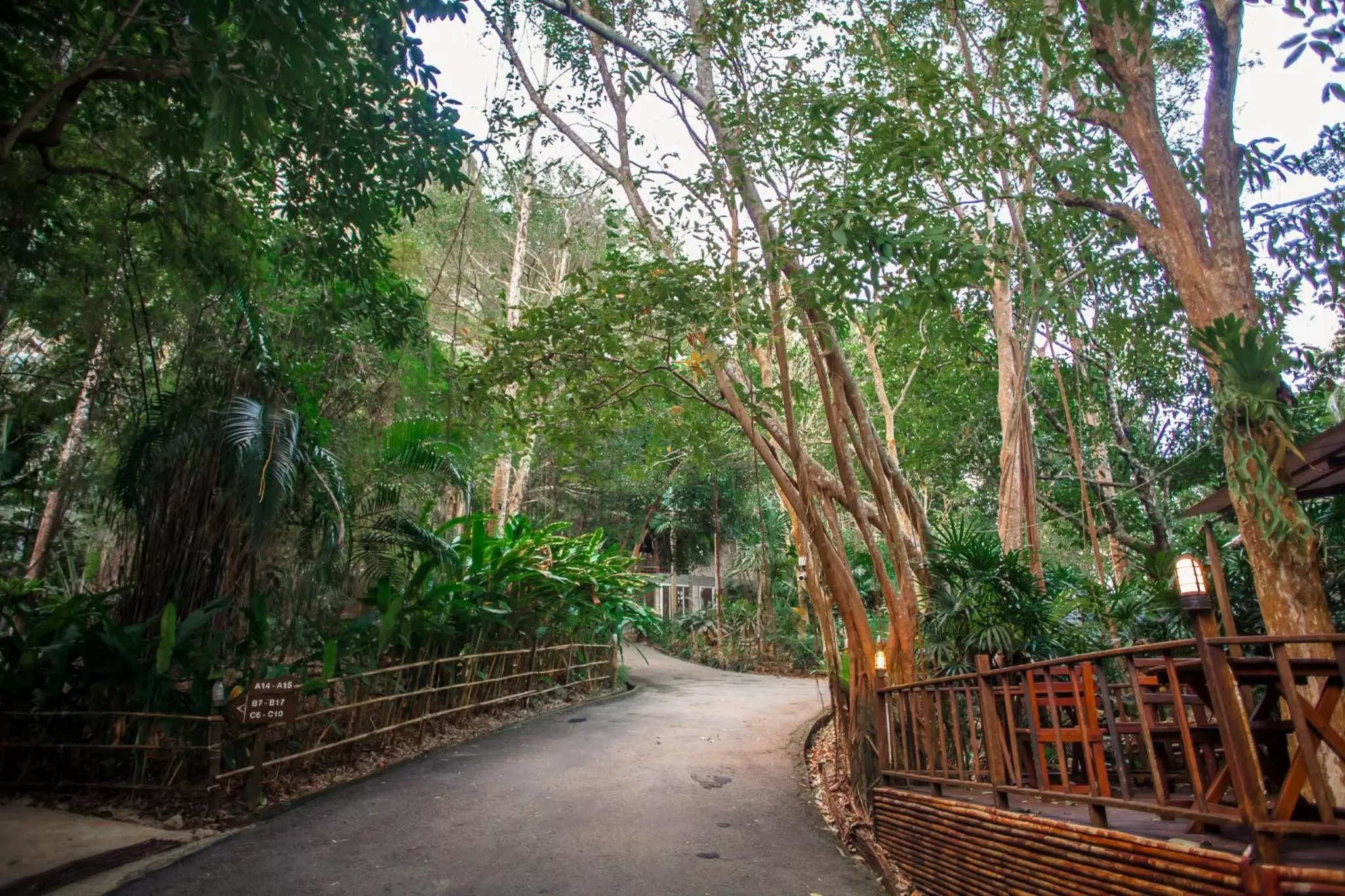 Garden in The Vatika Resort and Spa