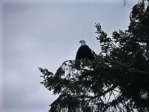 Animals in Wildwood Farm Bed & Breakfast