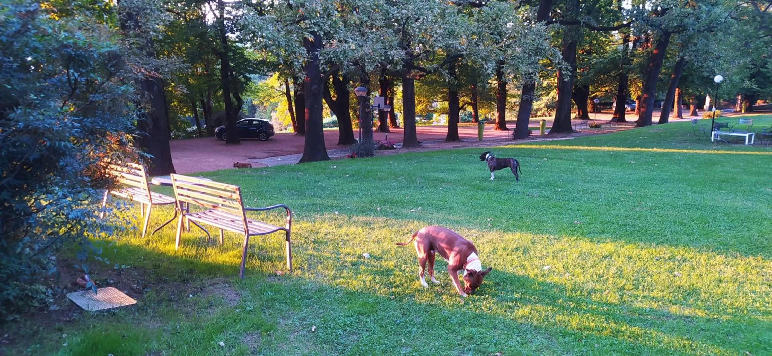 Garden in "La Selvetta" bed and breakfast
