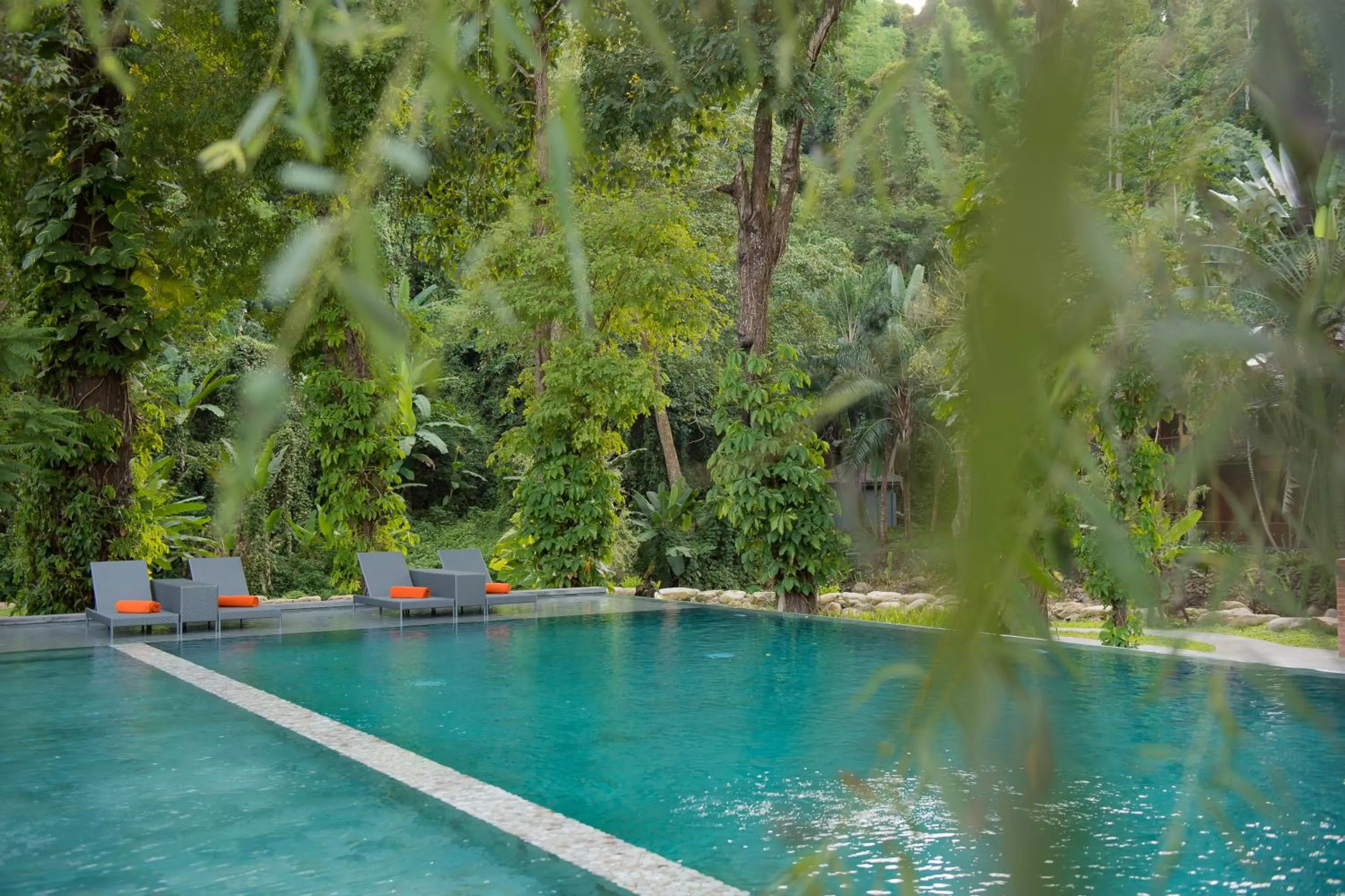 Swimming pool in Flora Creek Chiang Mai