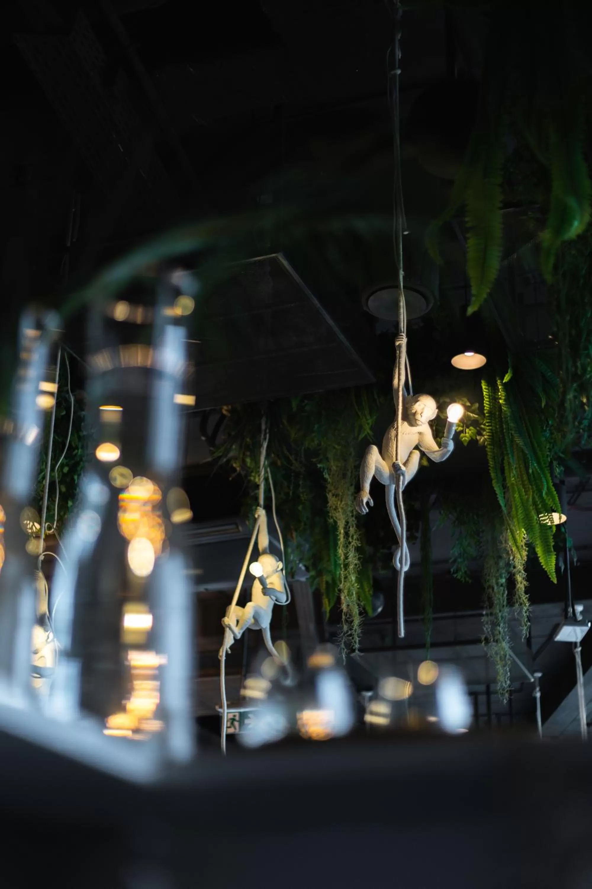 Night in Hotel Zoo by Afrykarium Wroclaw