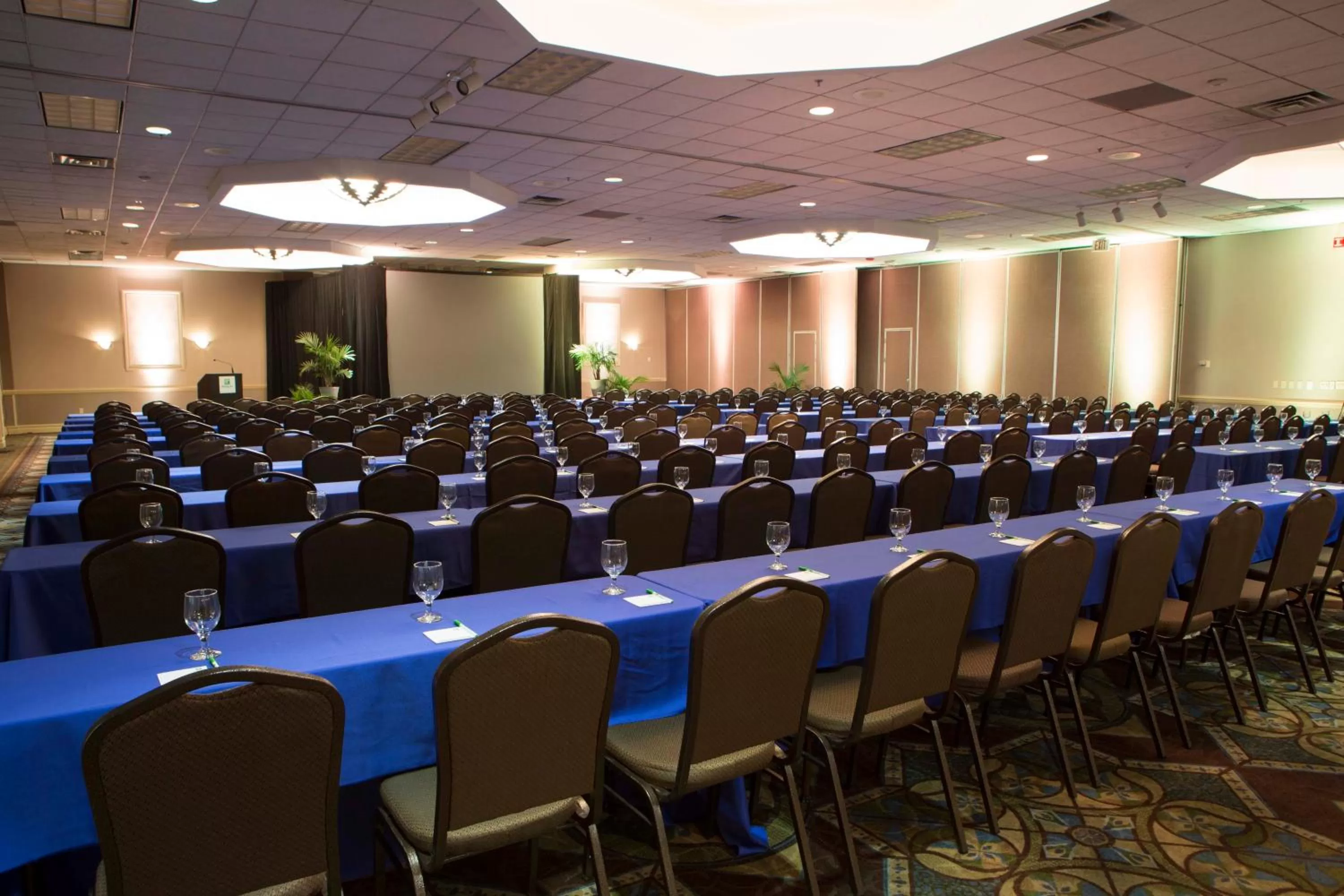 Meeting/conference room in Holiday Inn Binghamton-Downtown Hawley Street by IHG