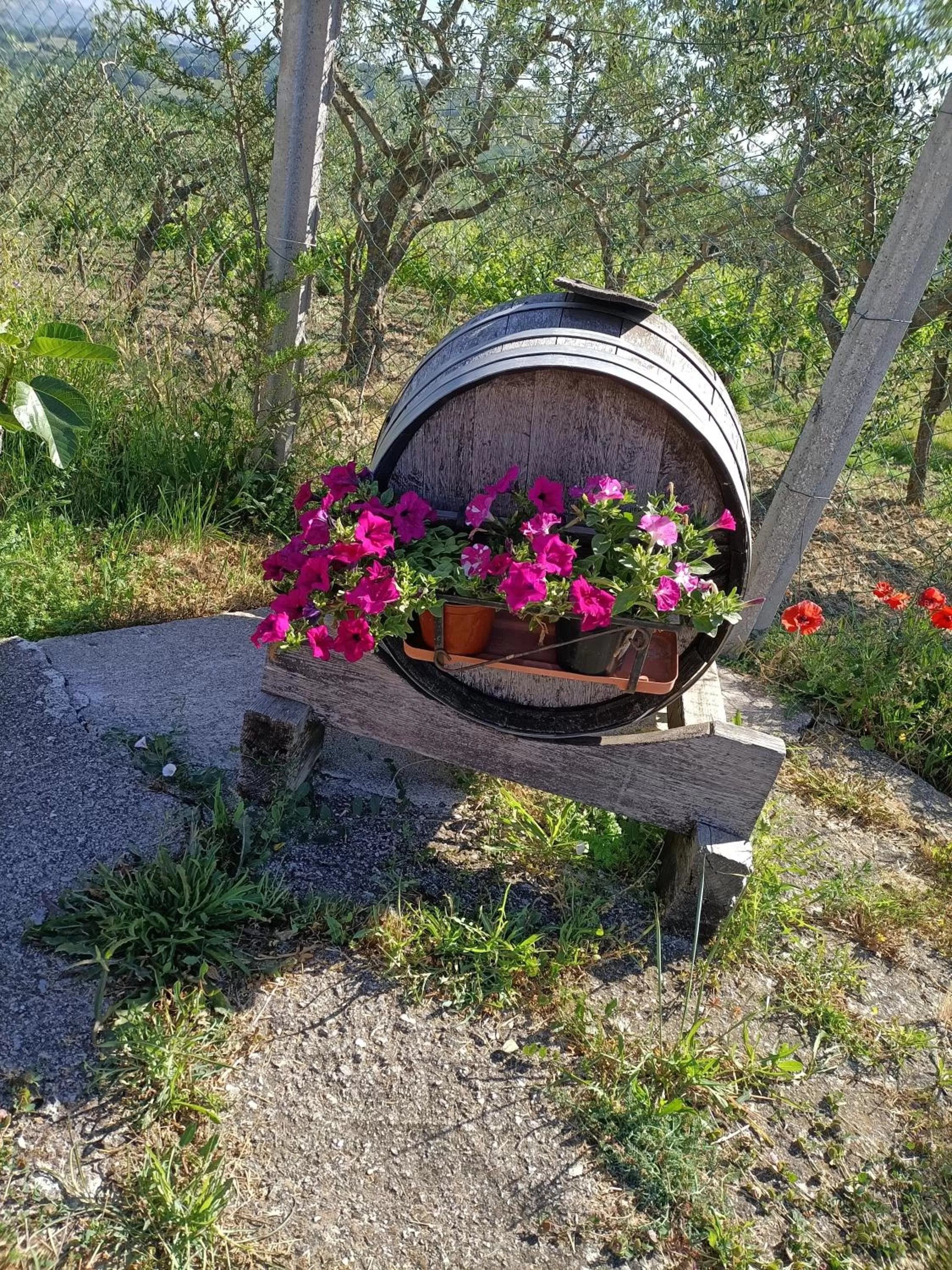 Garden in Agriturismo Macchia dei briganti - b&b