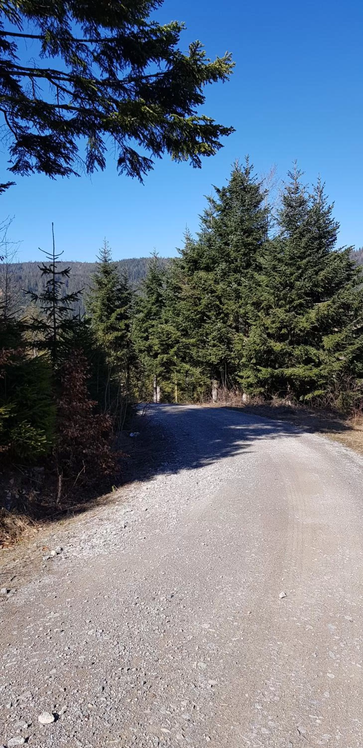 Hiking in Hotel Teuchelwald