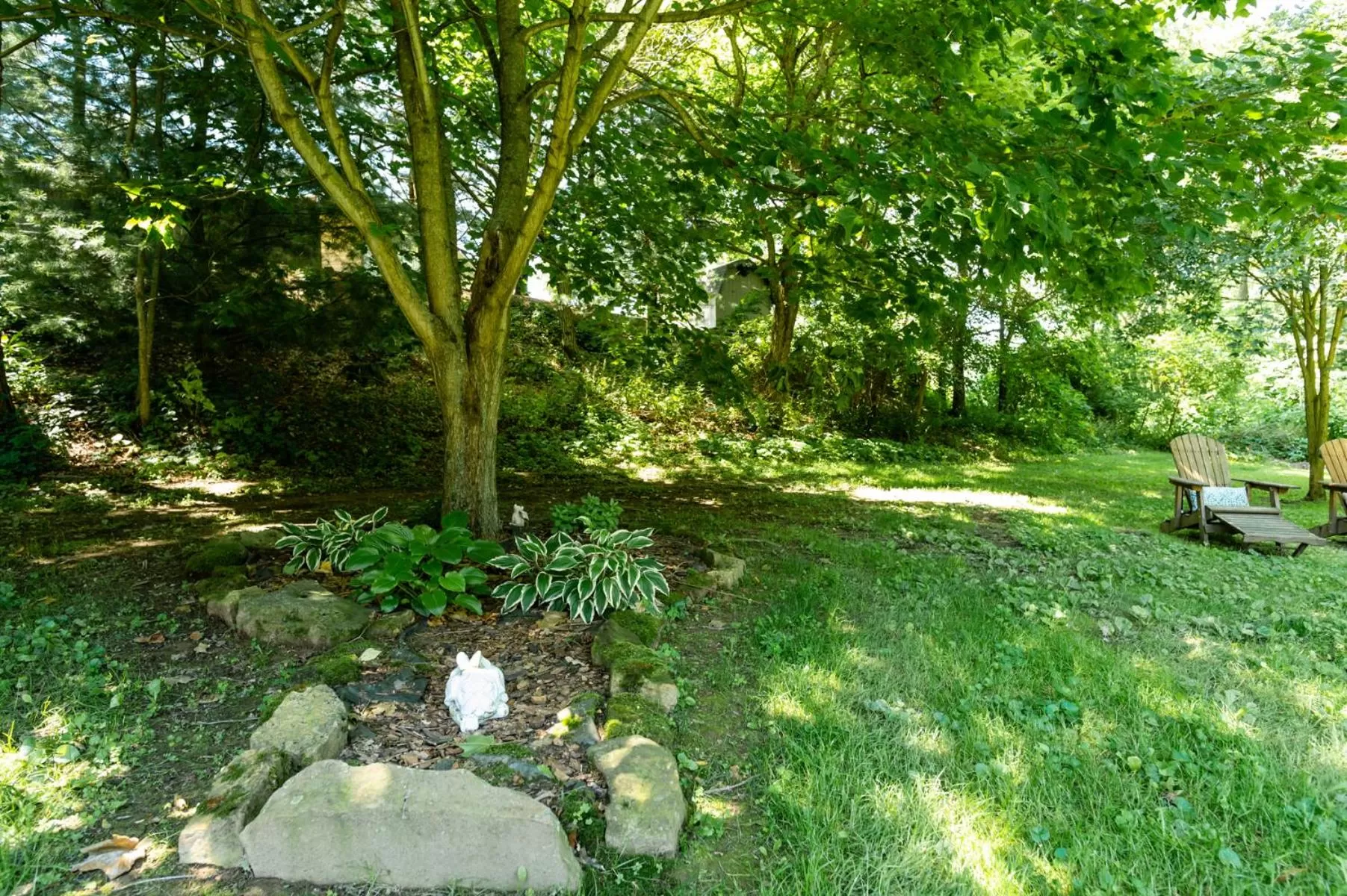 The Pines of Dresden