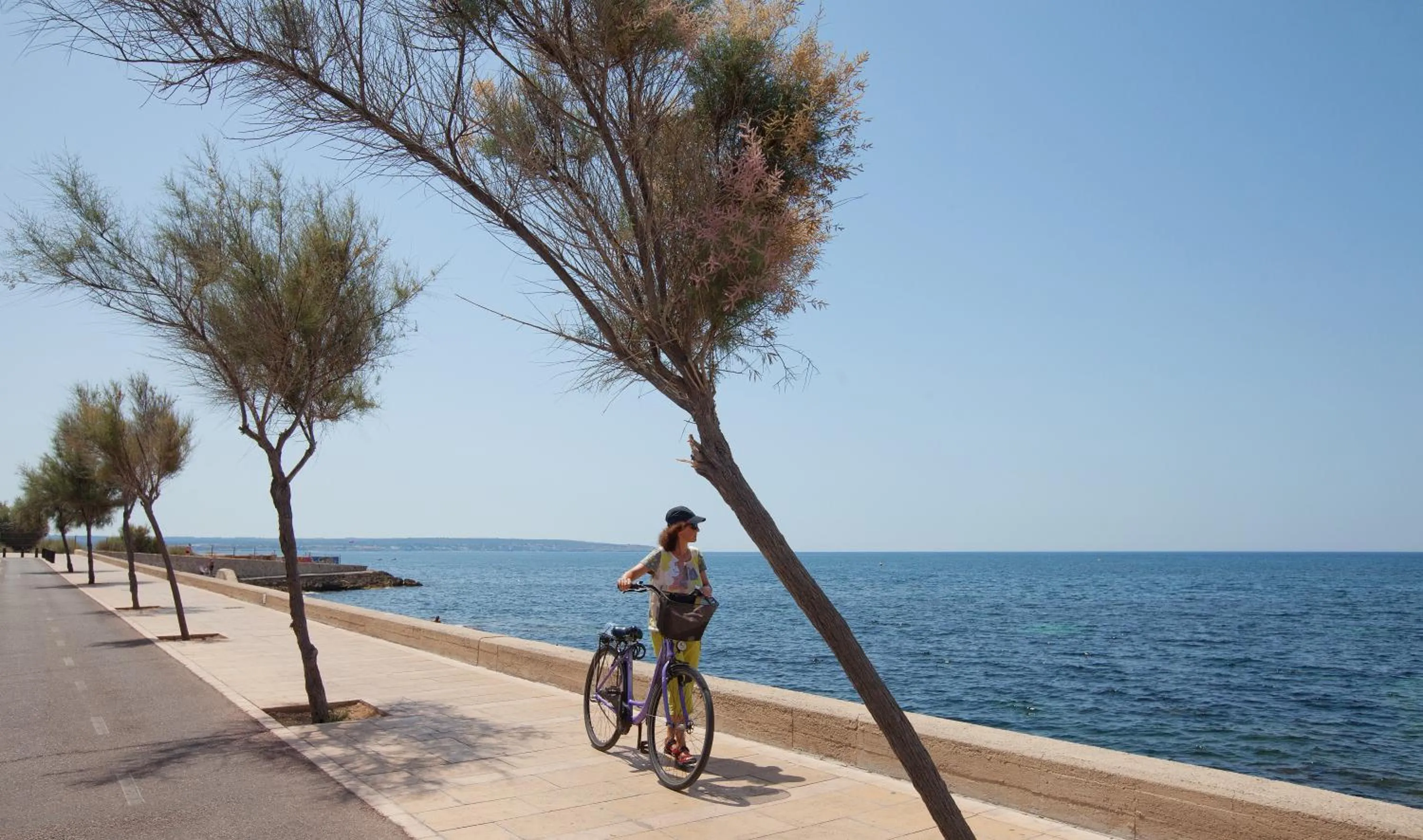 Natural landscape in JS Palma Stay - Adults Only