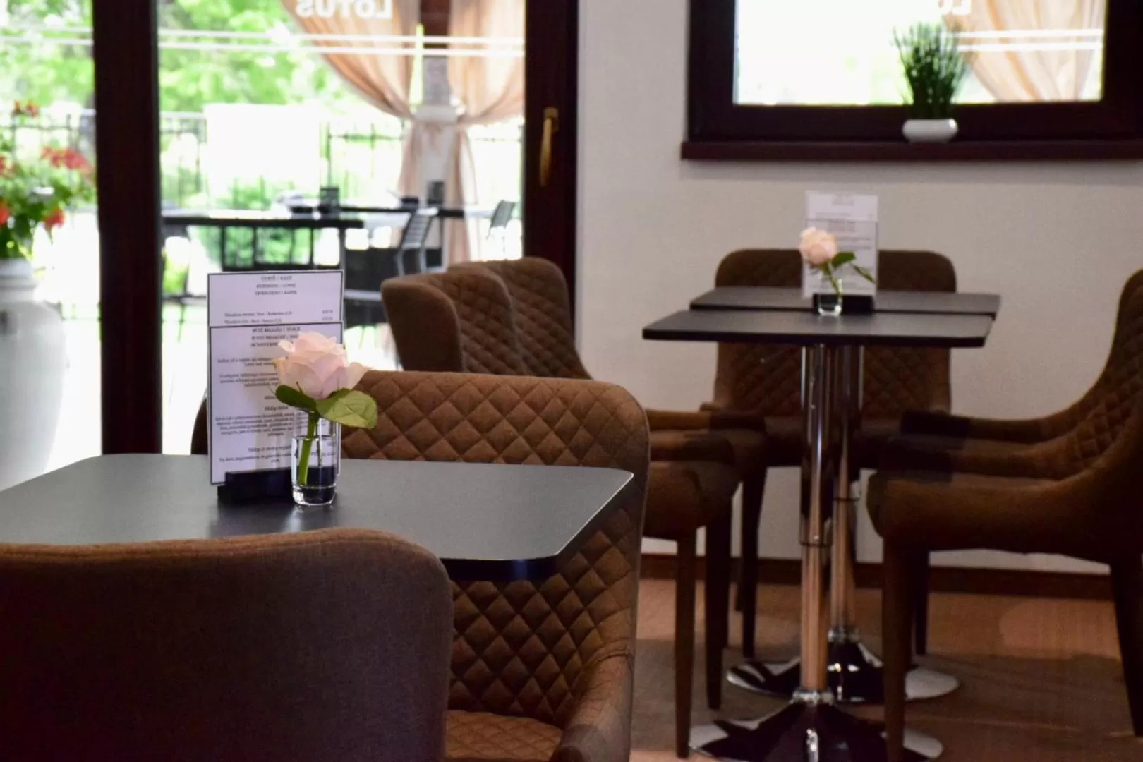 Lounge/Bar in Hotel Lotus