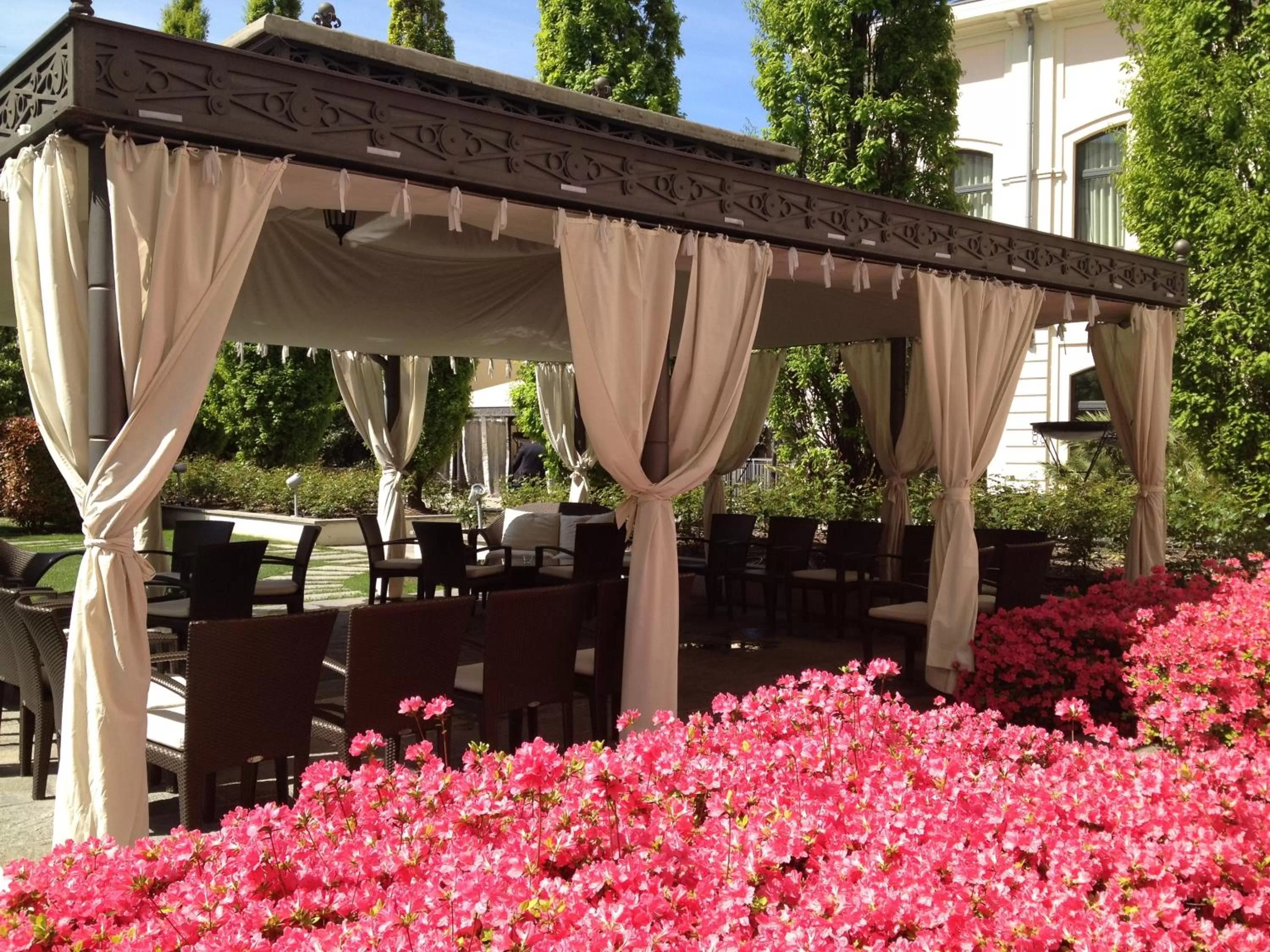Garden in Grand Visconti Palace