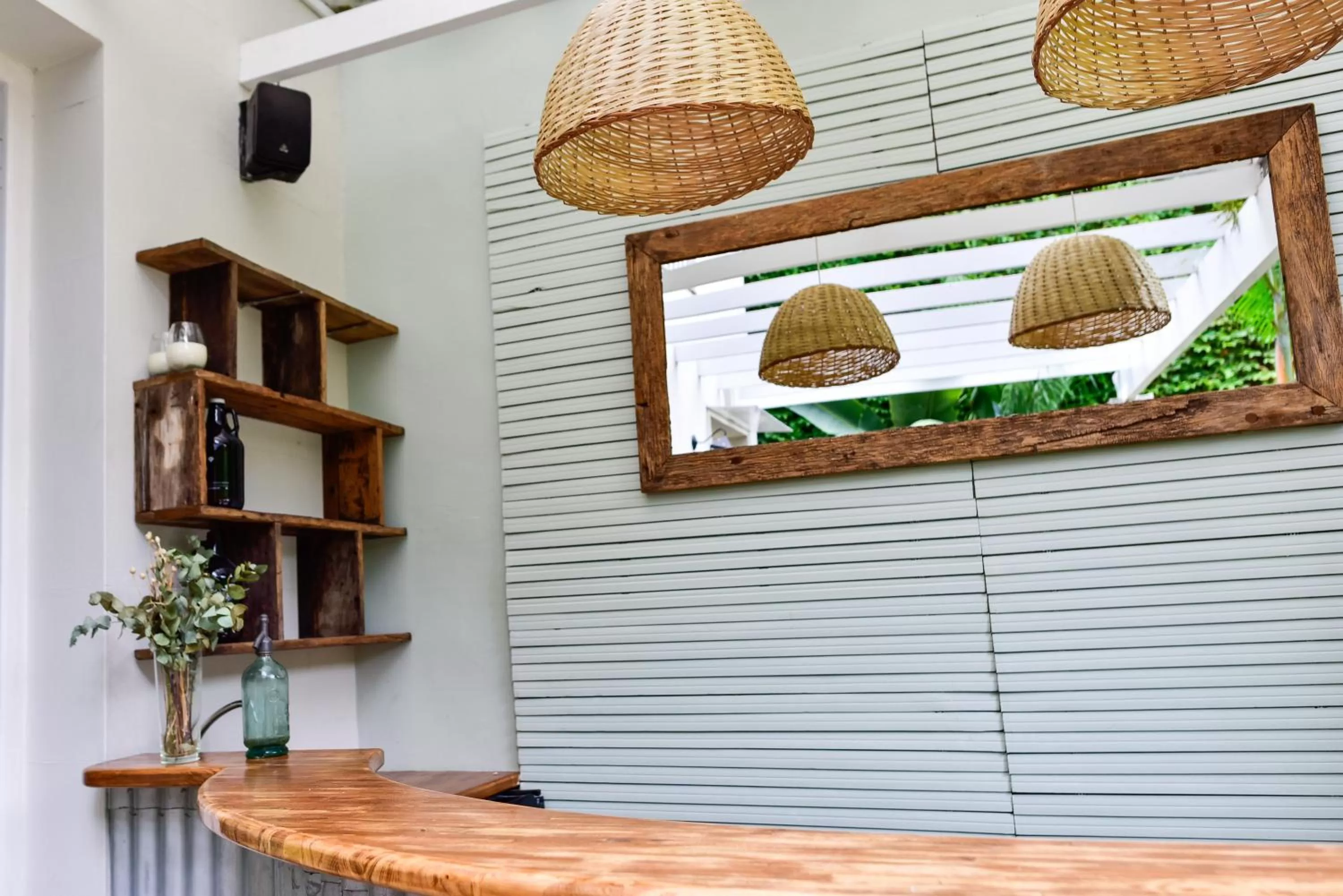 Garden in Casa Caravan - Plant Based Concept House